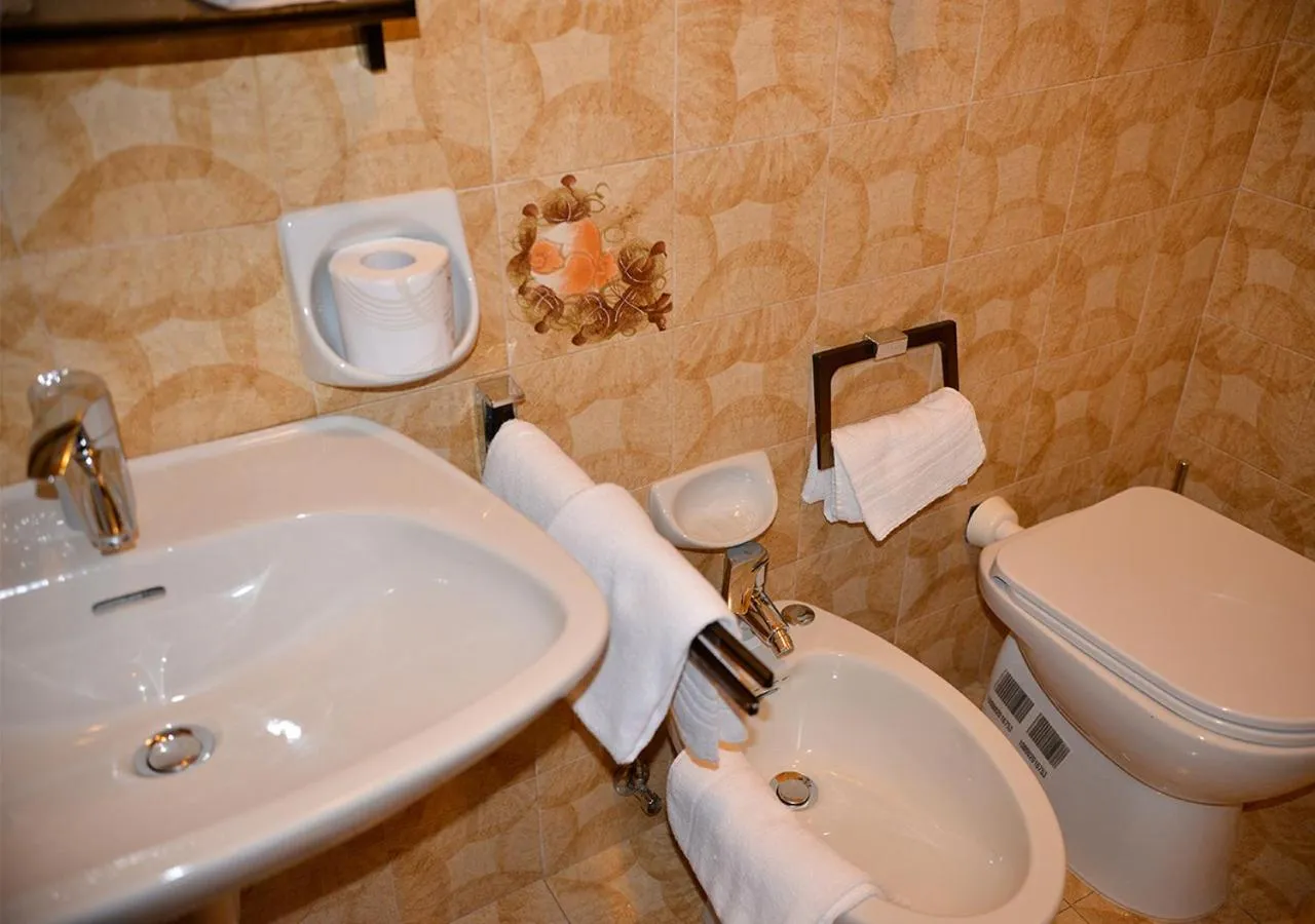 Shower in Hotel Regina Delle Dolomiti