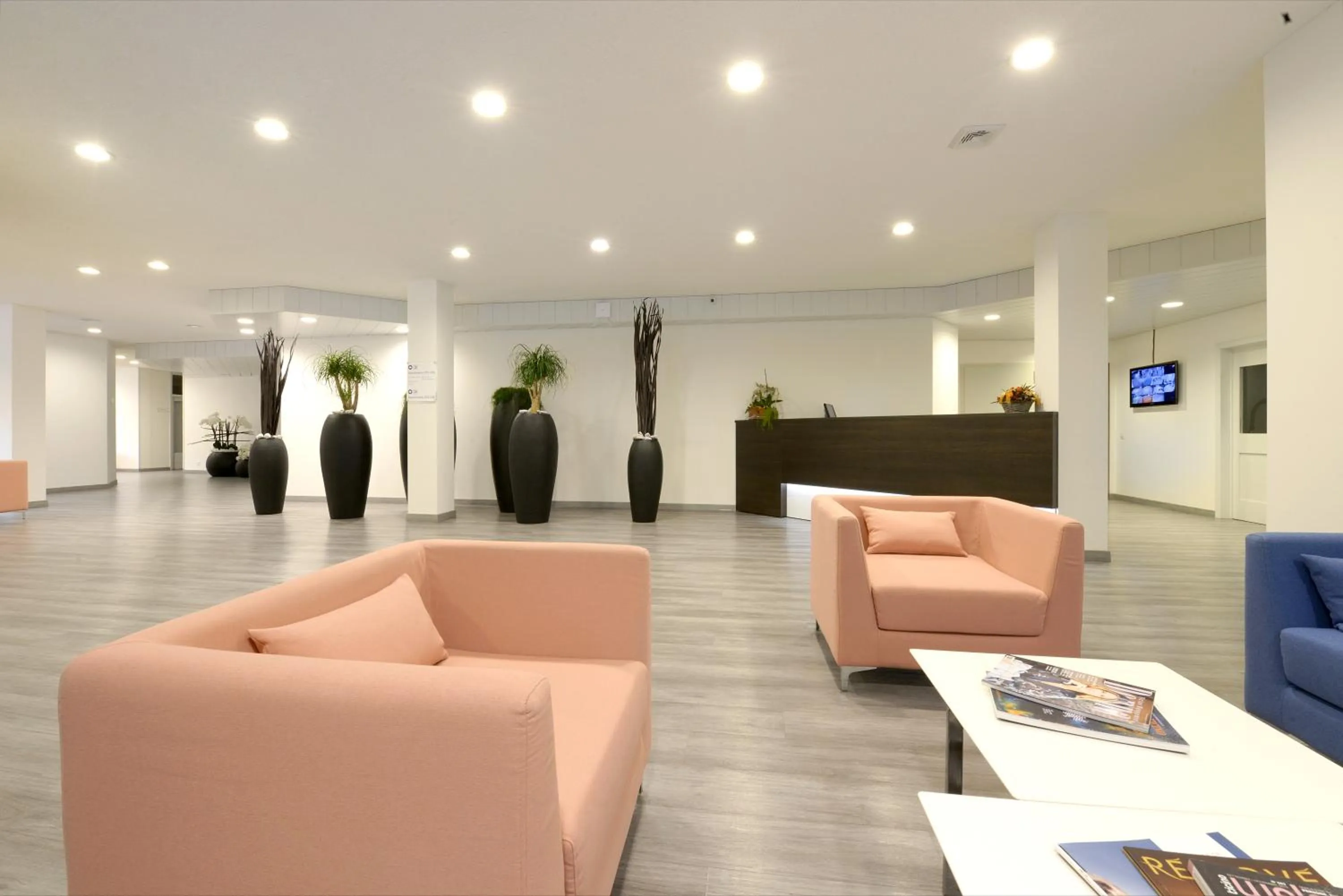 Lobby or reception in Centro Cadro Panoramica