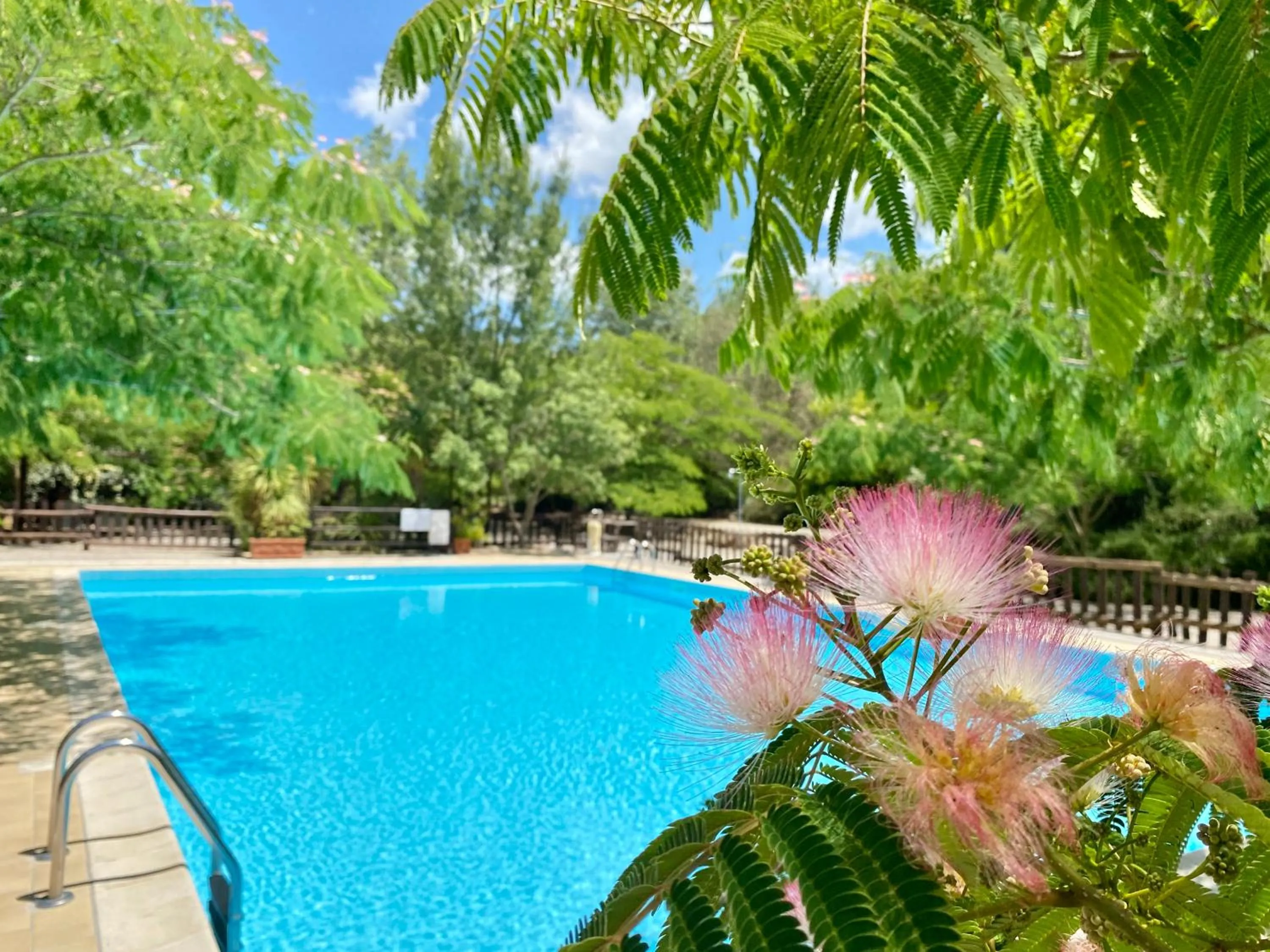 Pool view in Casale San Giovanni