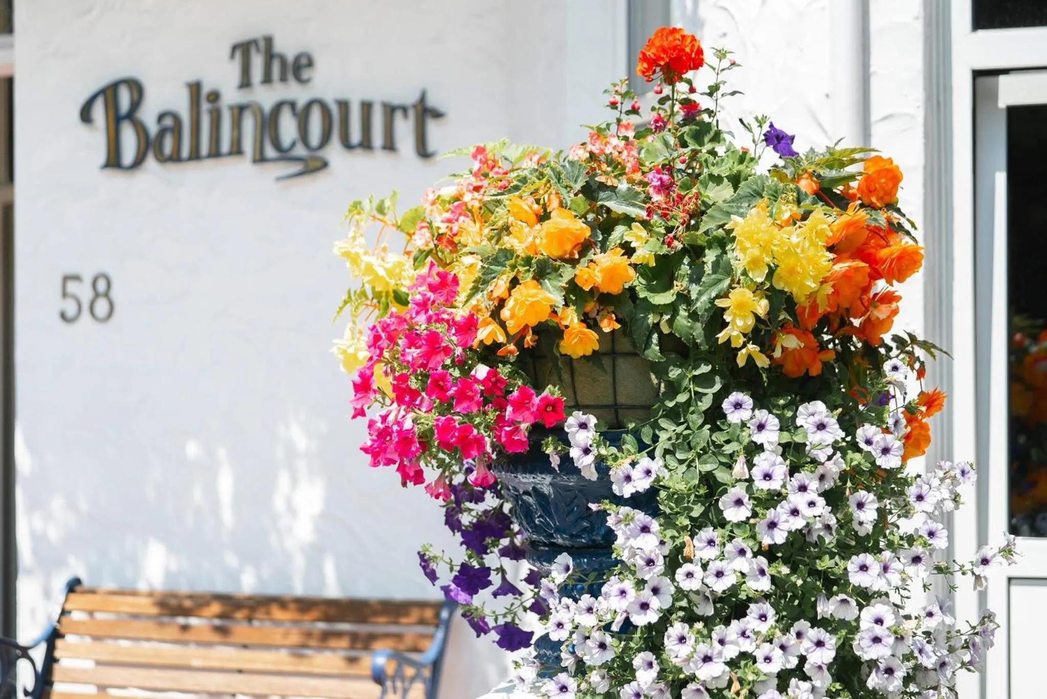 Summer in Balincourt