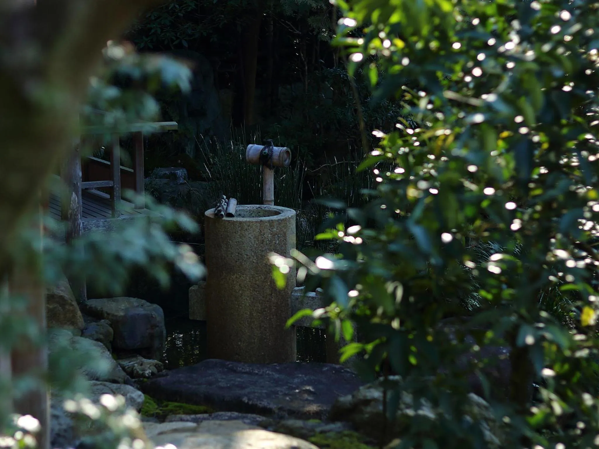 Natural landscape in Nanzenji sando KIKUSUI
