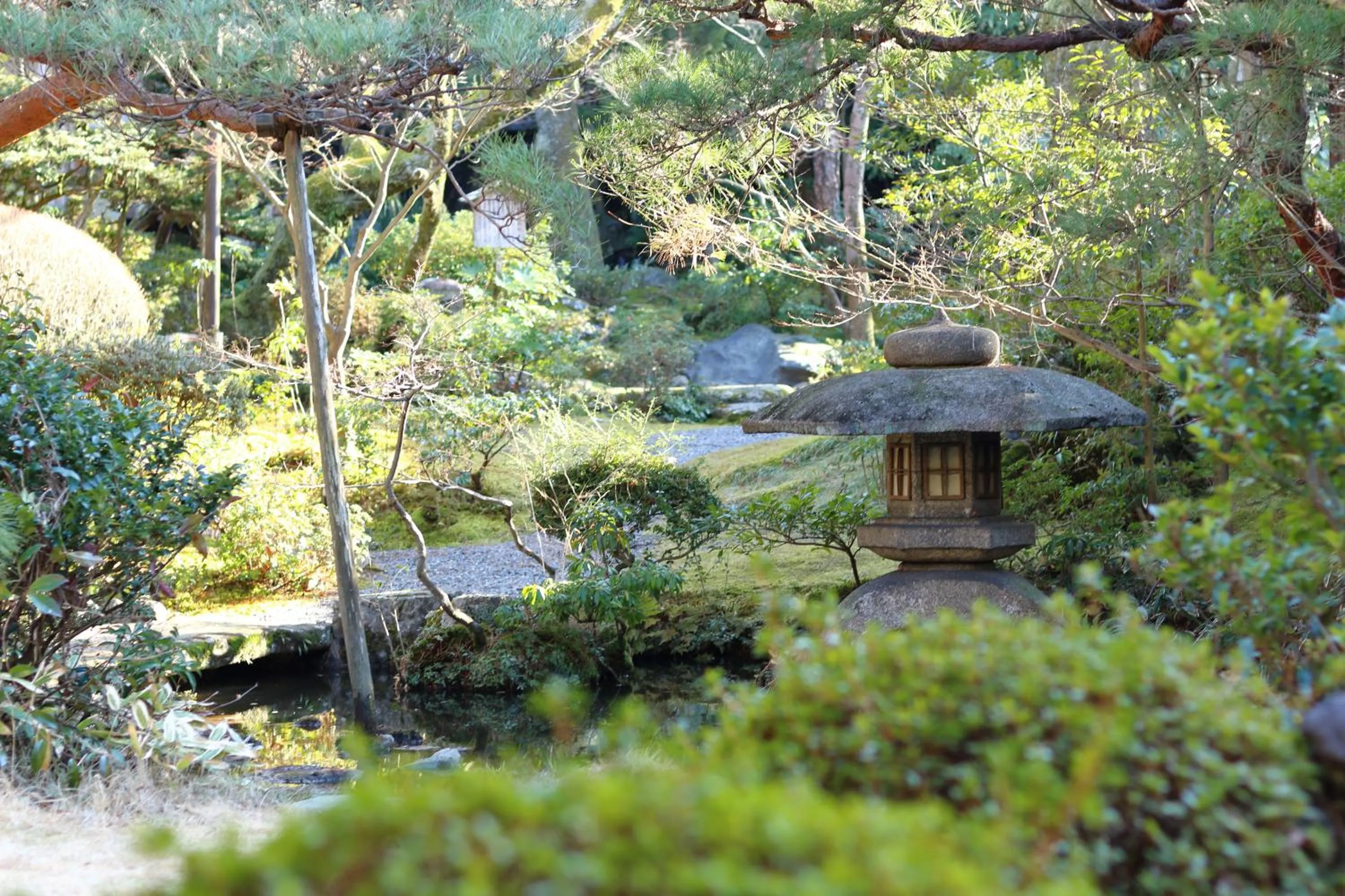 Garden in Nanzenji sando KIKUSUI