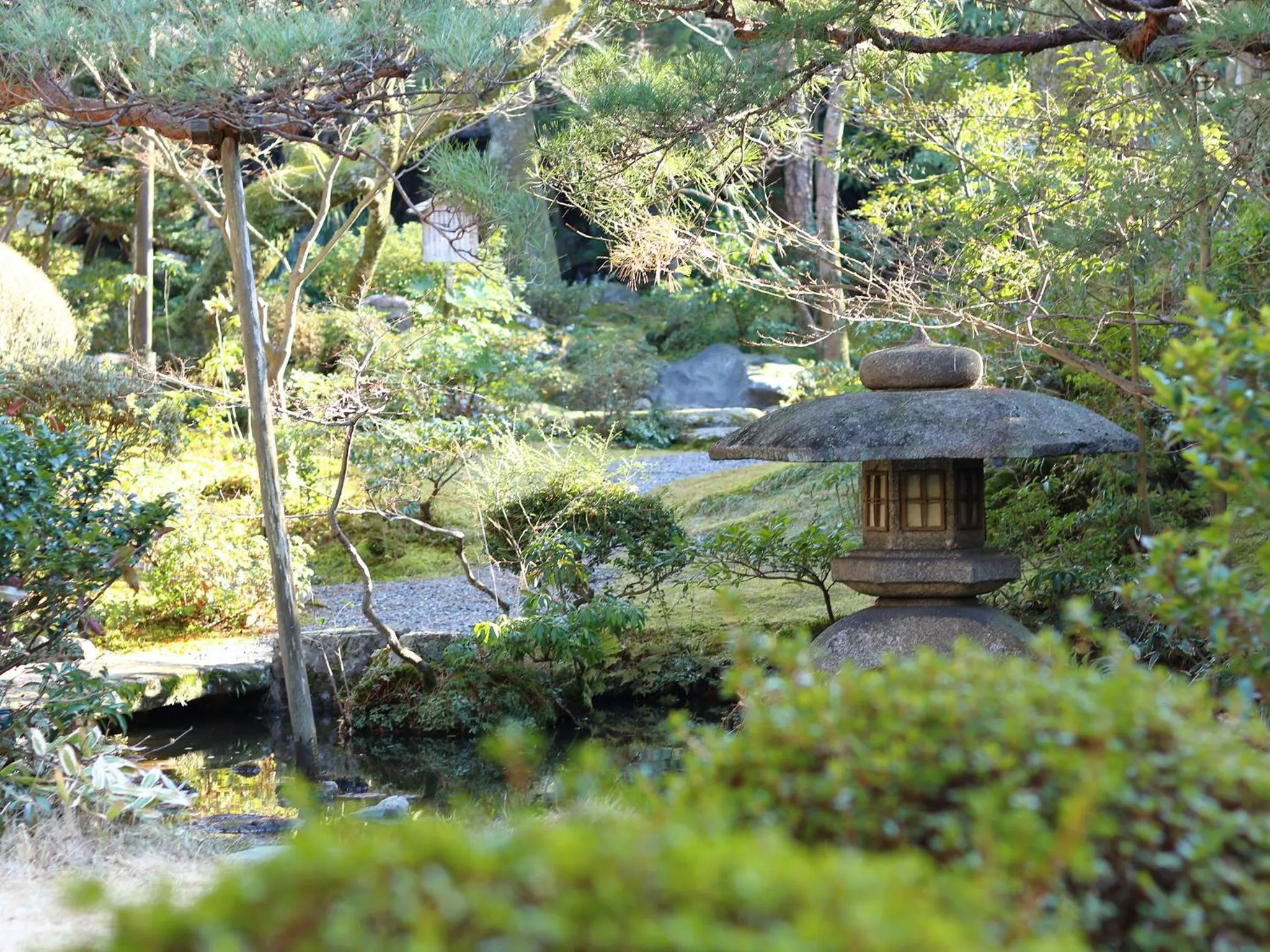 Garden in Nanzenji sando KIKUSUI