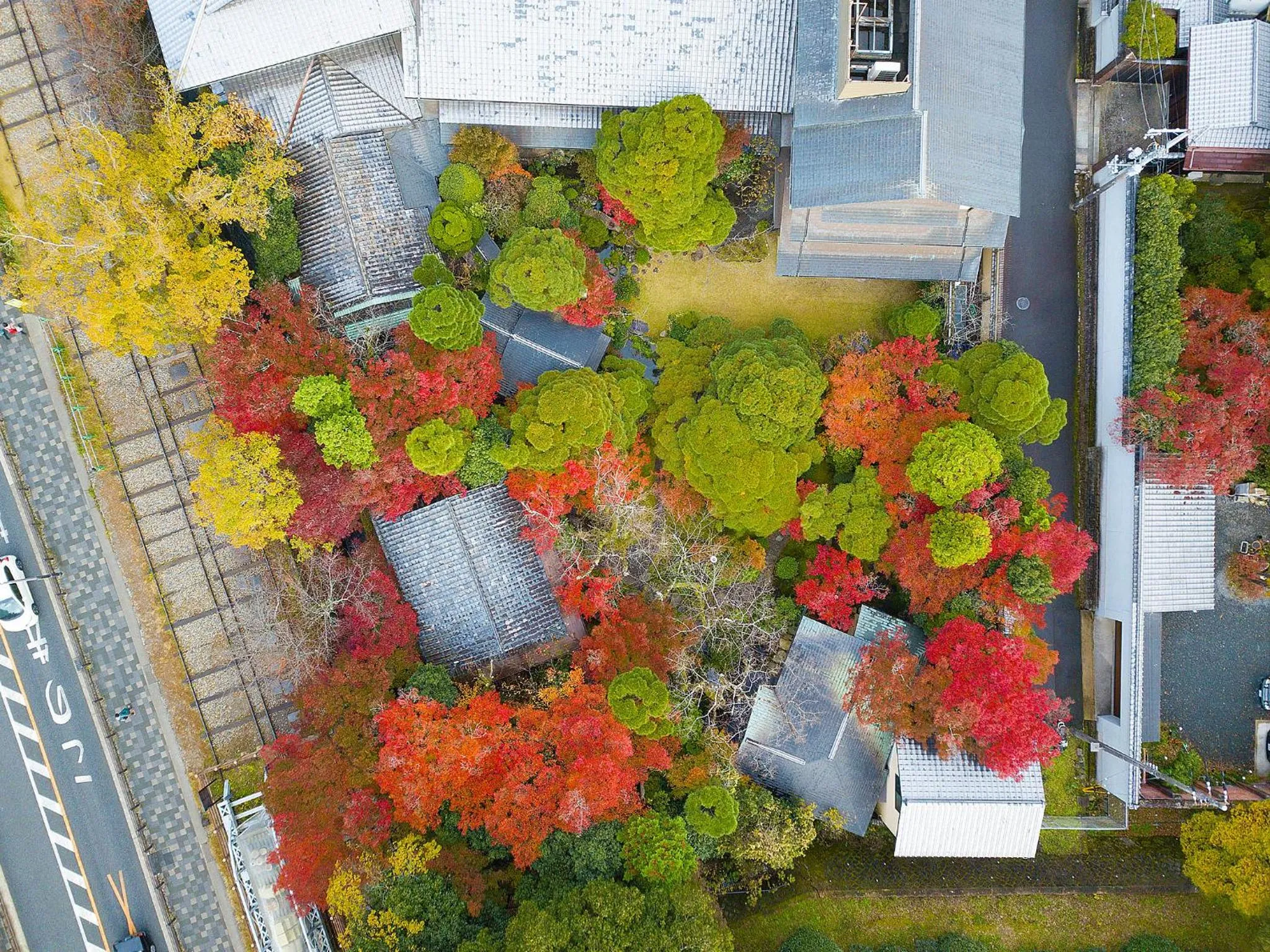 Bird's eye view in Nanzenji sando KIKUSUI