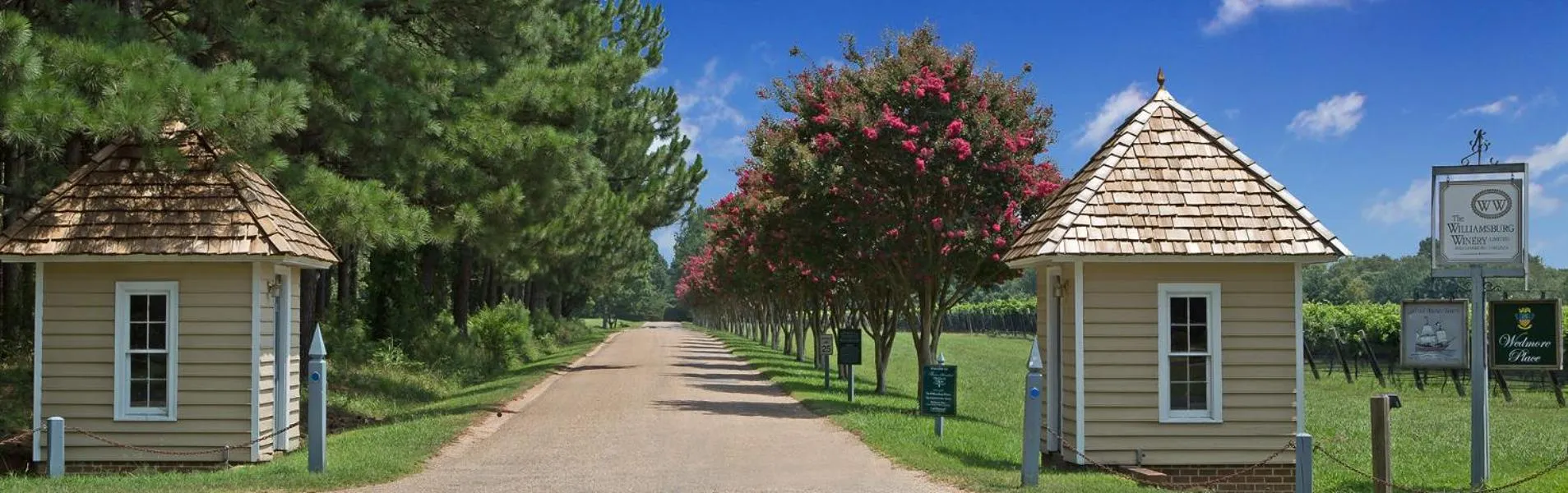 Facade/entrance in Wedmore Place