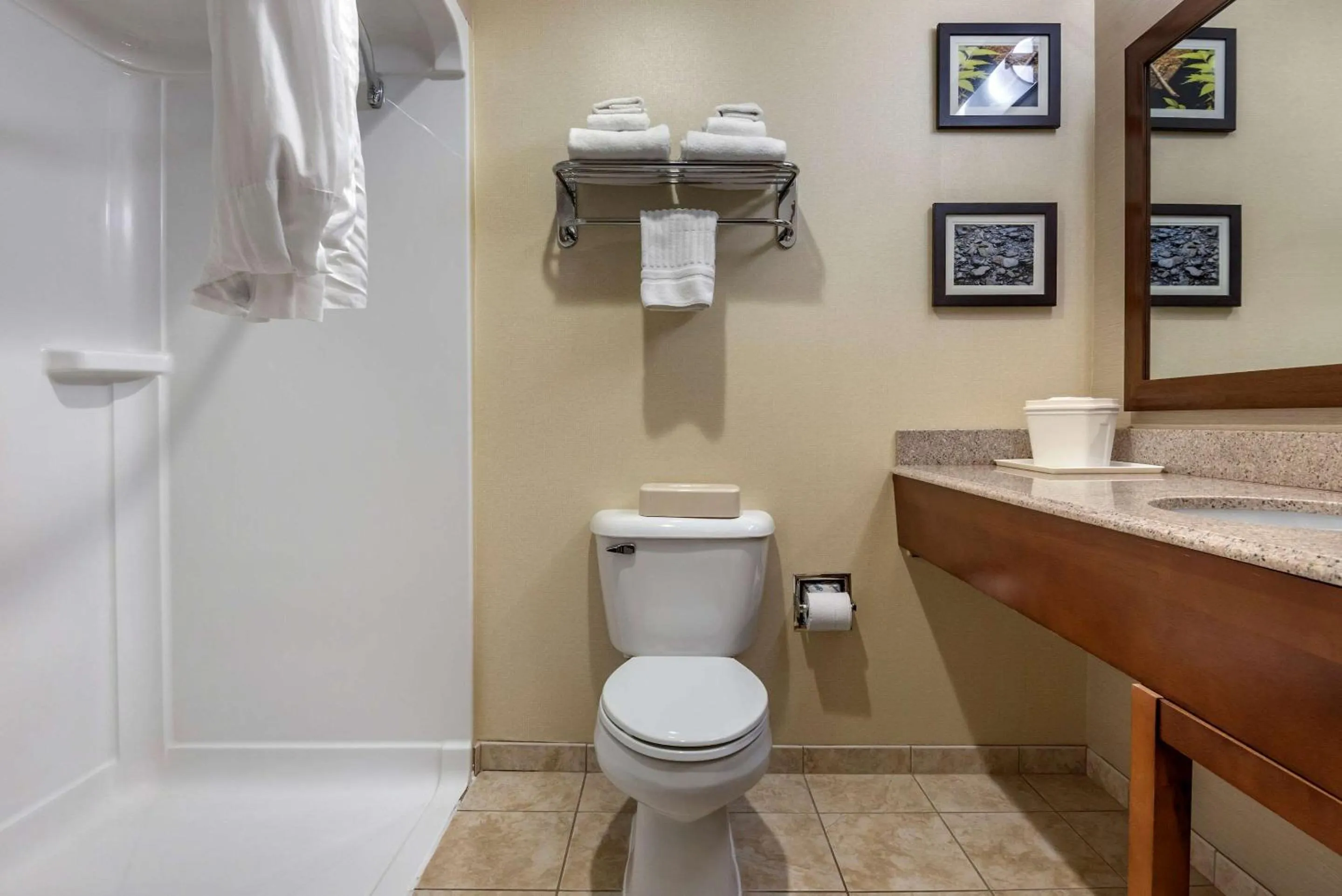 Bathroom in Comfort Inn & Suites Farmington - Victor