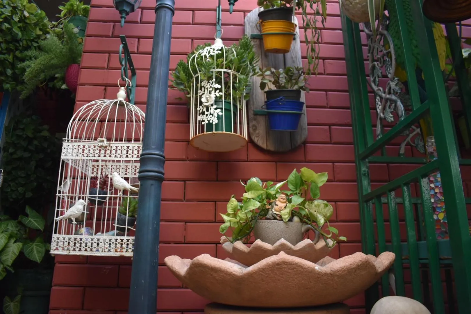 Pets in On The House - Bed and Breakfast