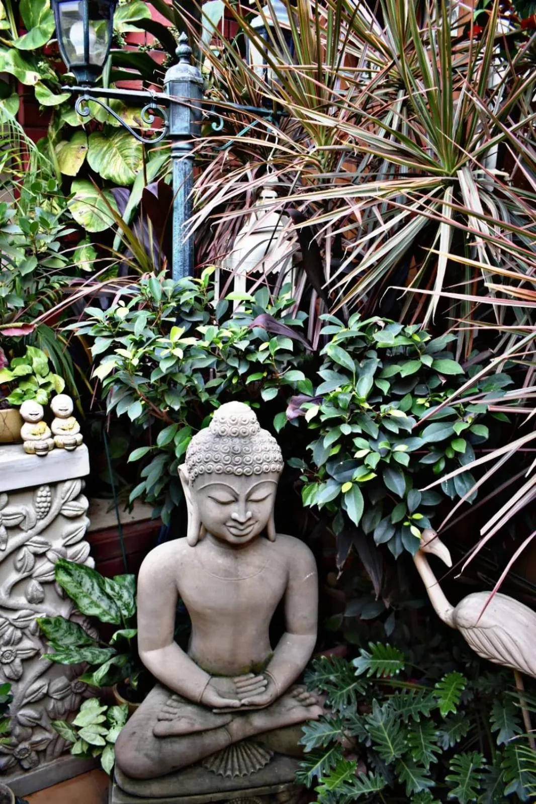 Garden view in On The House - Bed and Breakfast