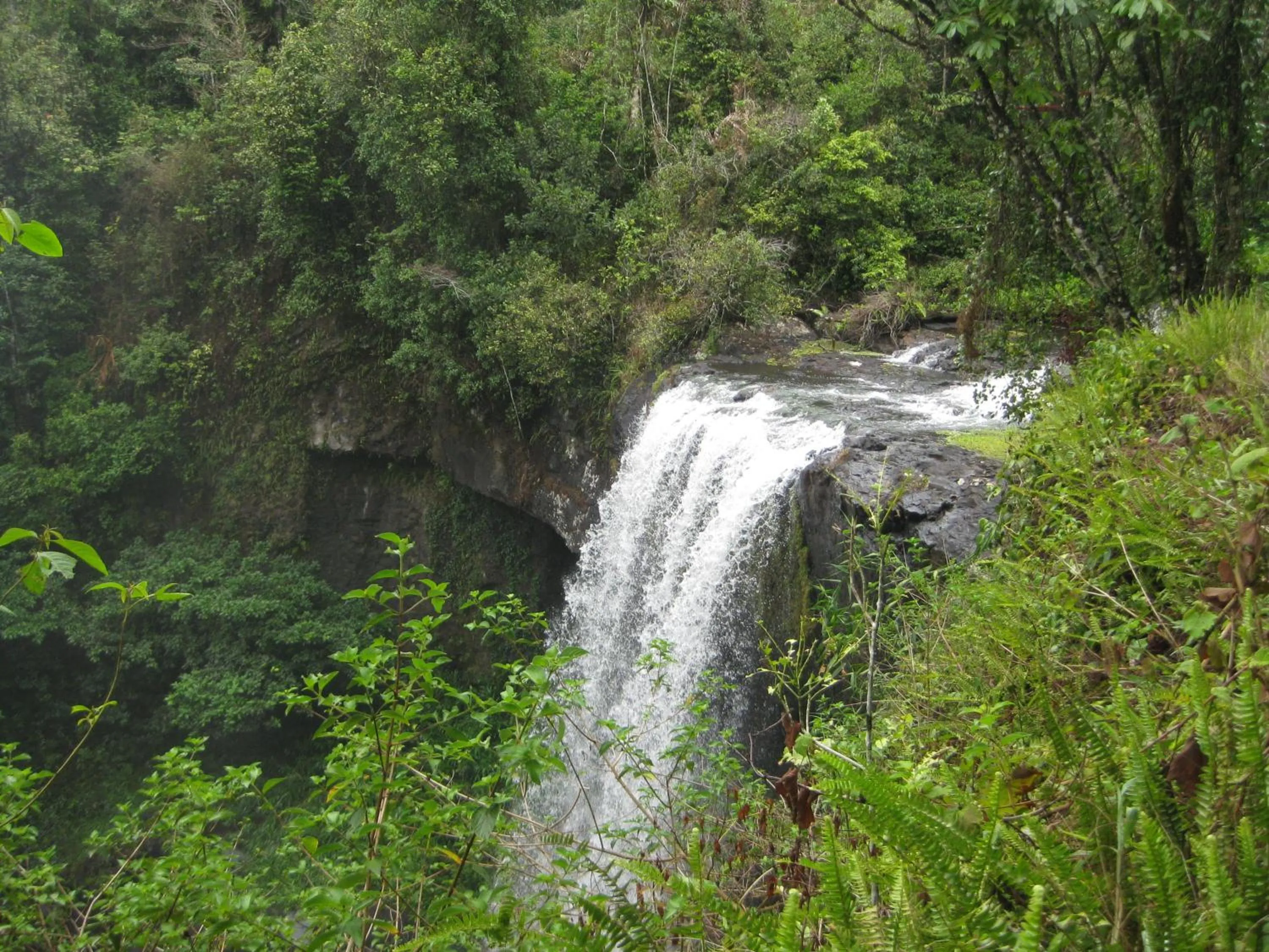 Nearby landmark in Kookaburra Motel Yungaburra