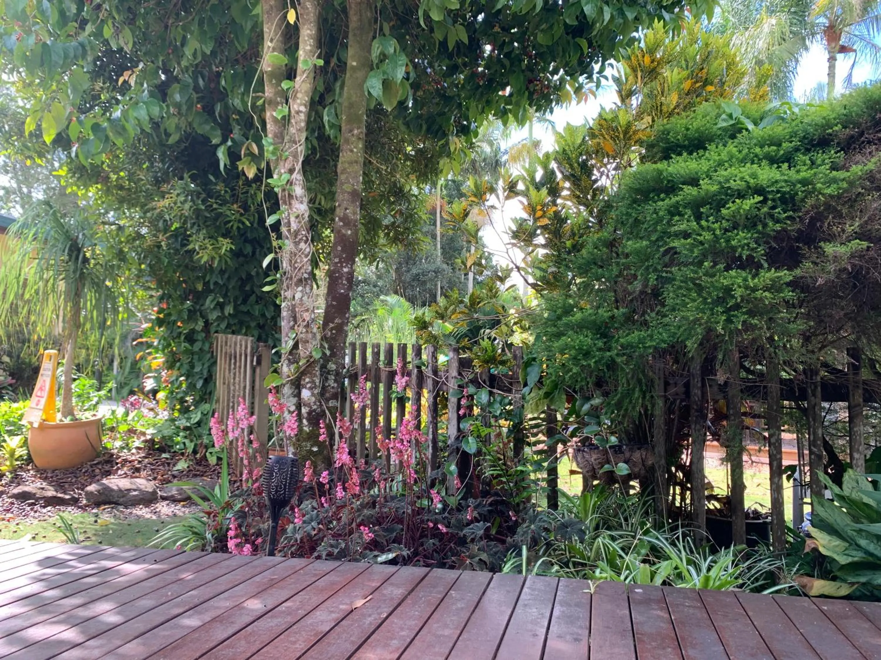 Garden in Kookaburra Motel Yungaburra