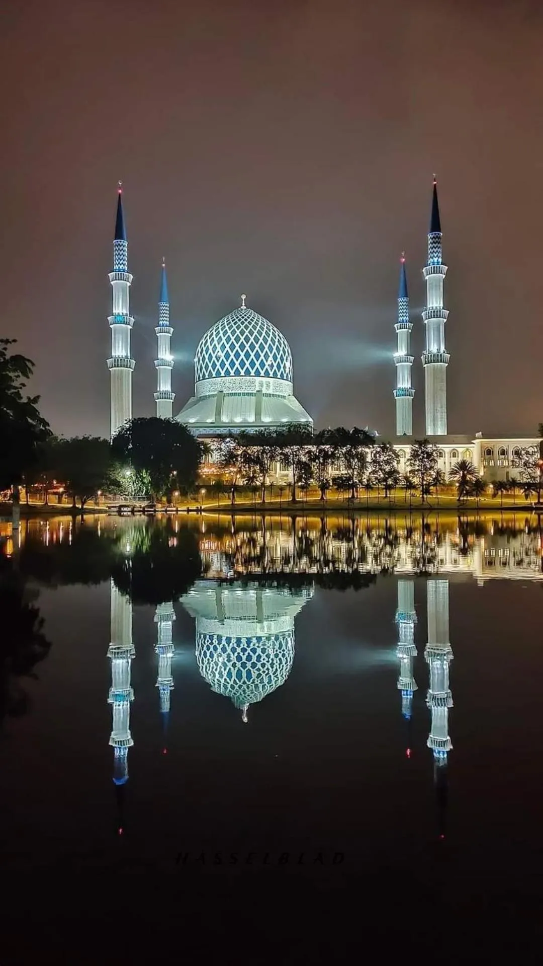 The Tree Boutique Hotel