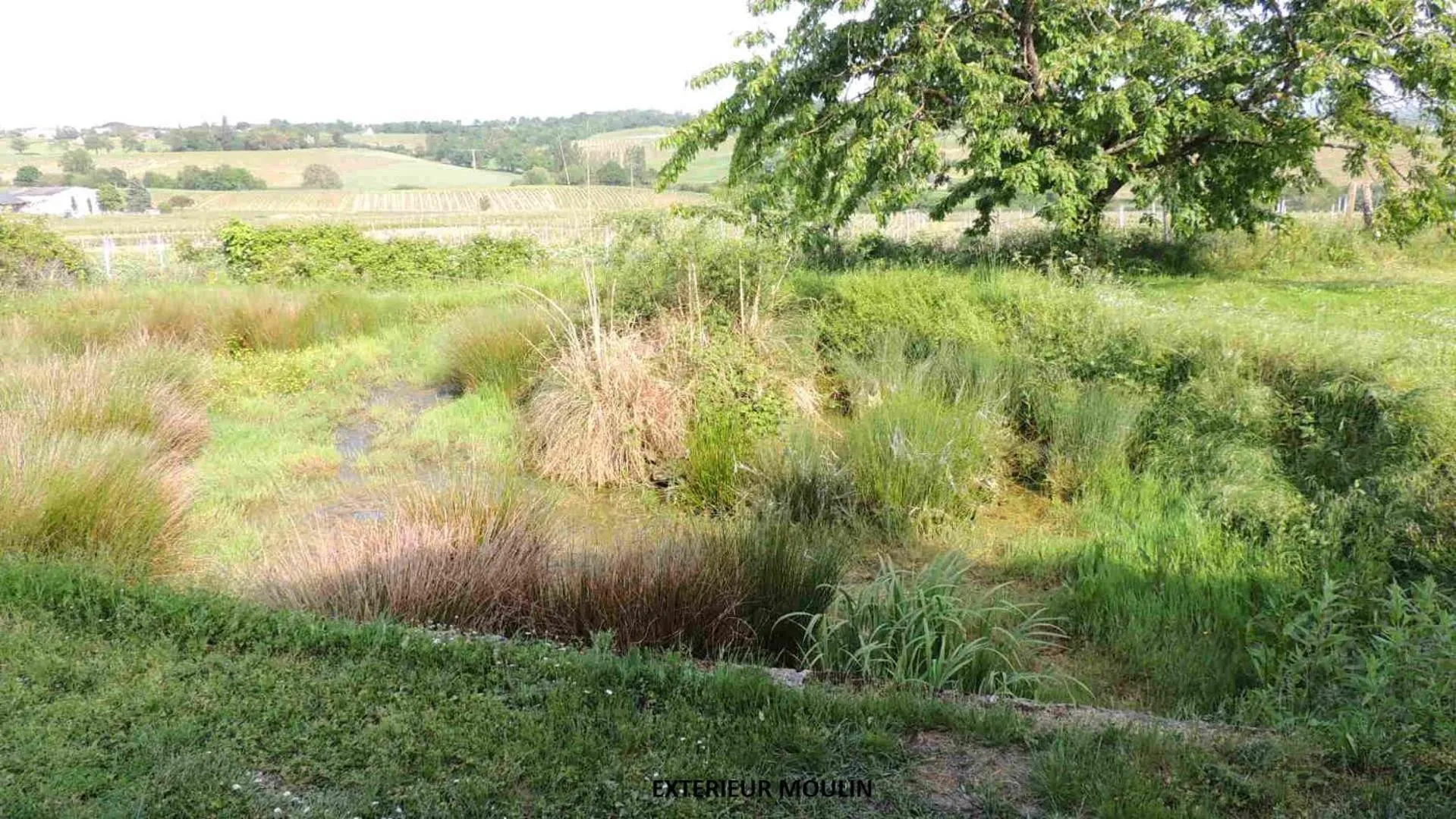 Moulin de la Placette