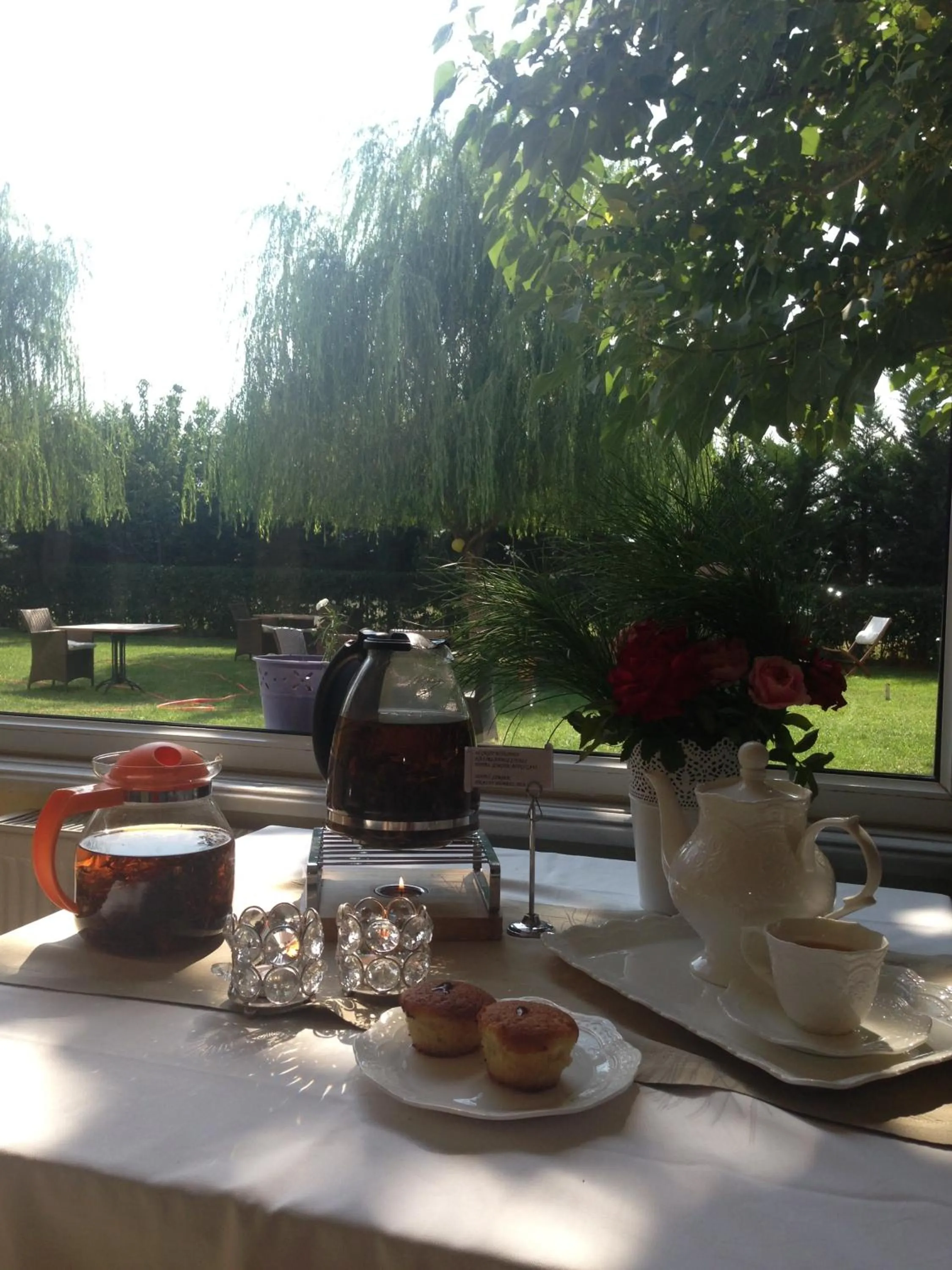 Garden in Hotel Simsek