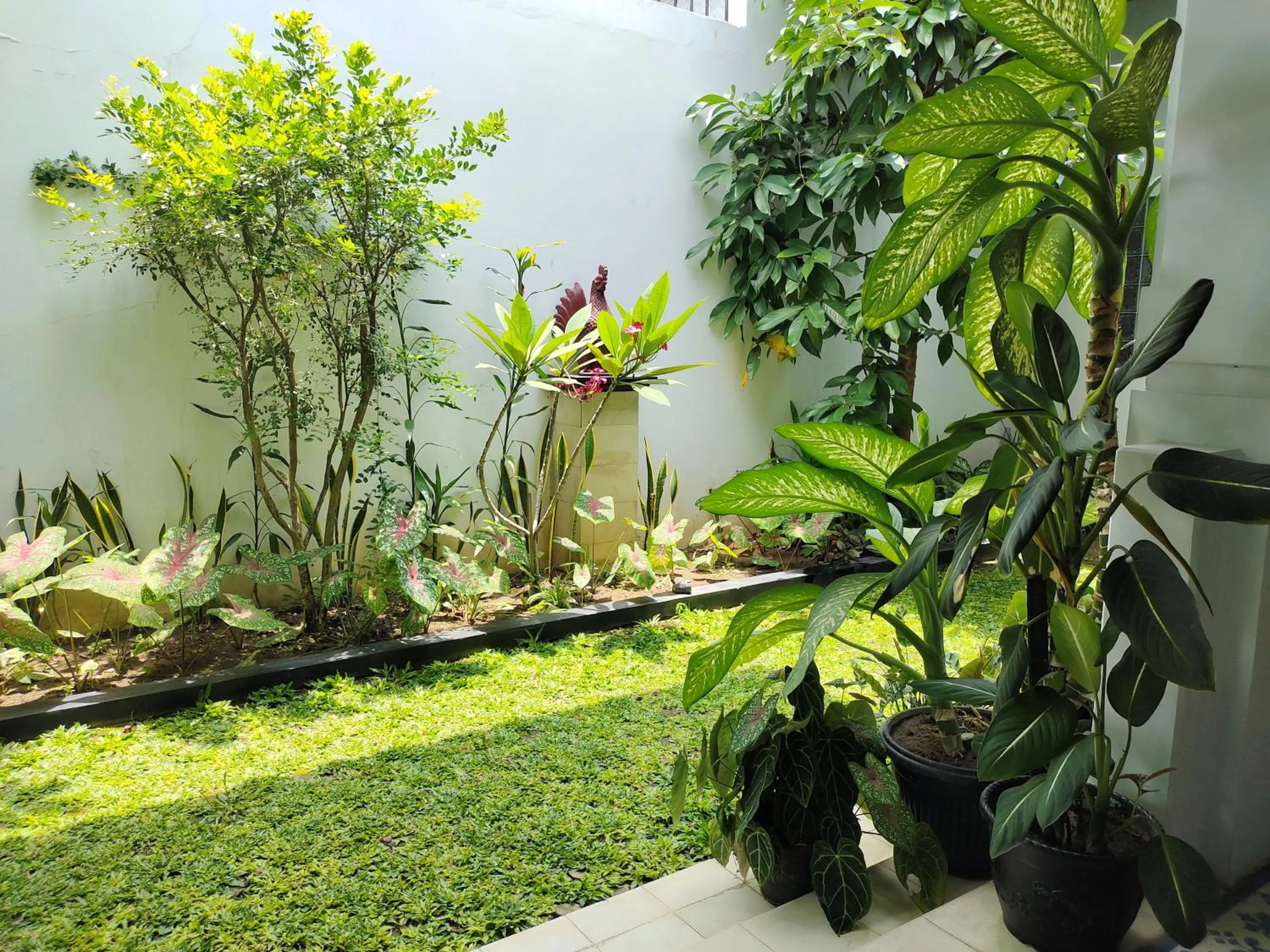 Garden in Griya Asih