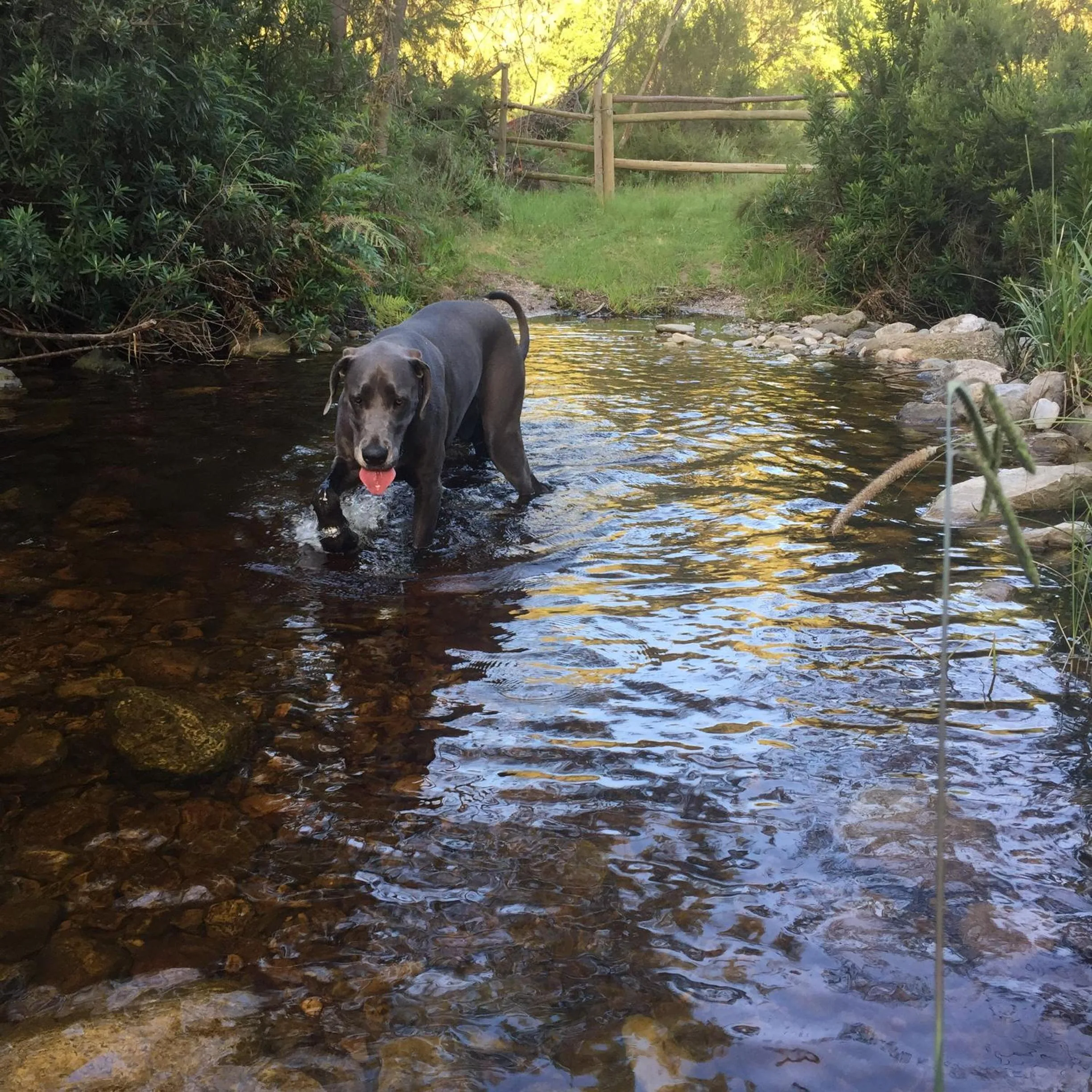 Nearby landmark in A Riverbed Guesthouse