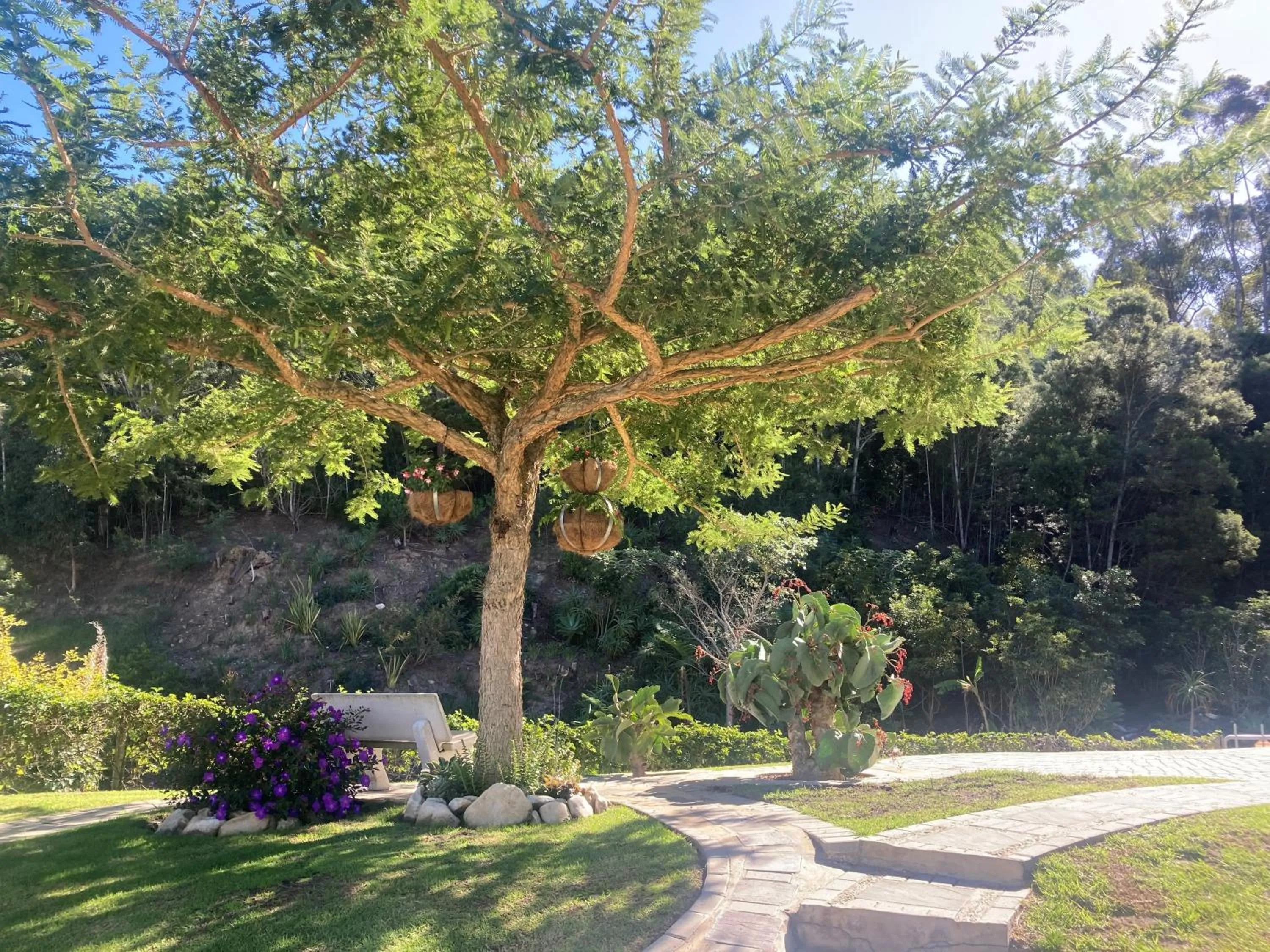 Garden in A Riverbed Guesthouse