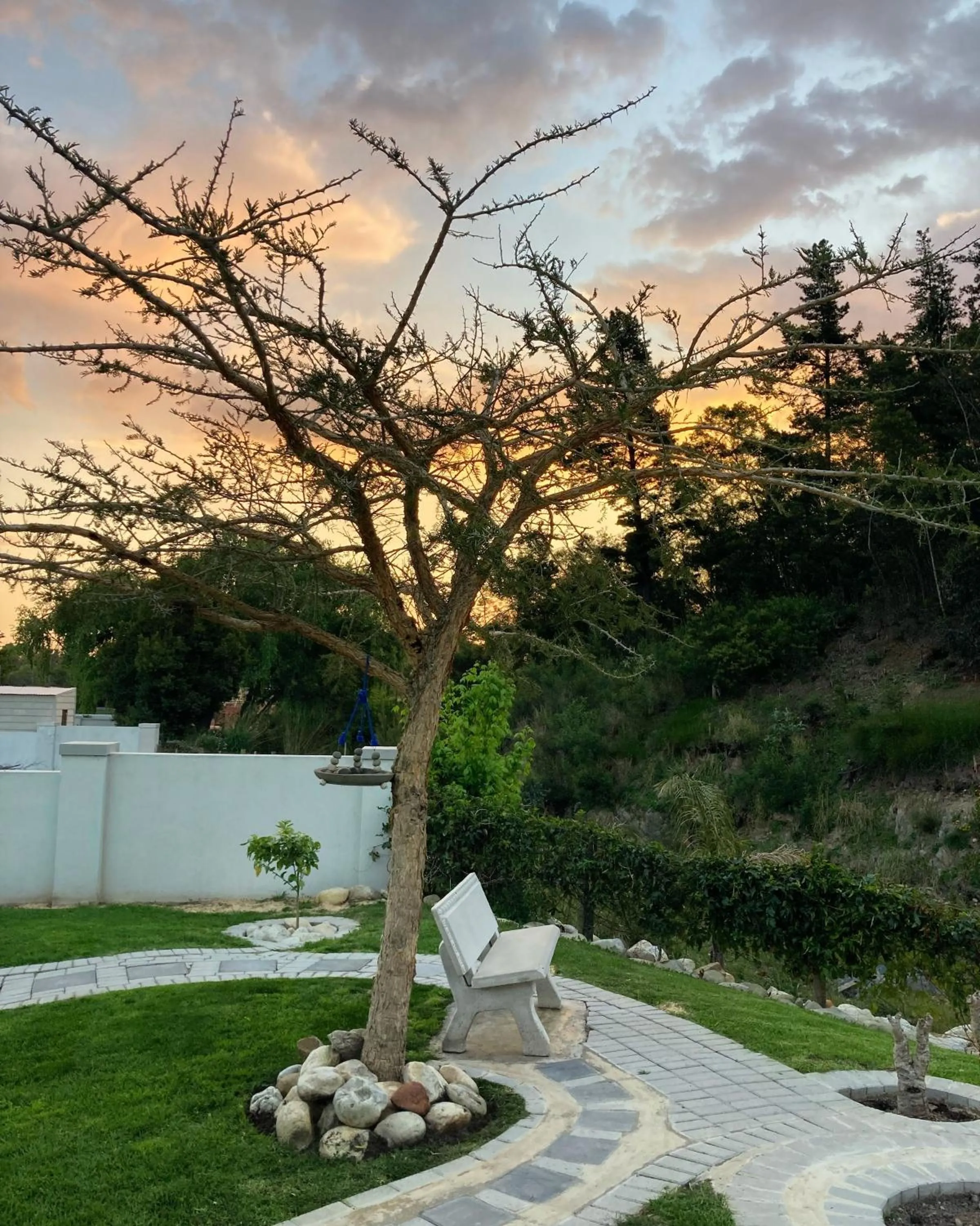 Garden in A Riverbed Guesthouse
