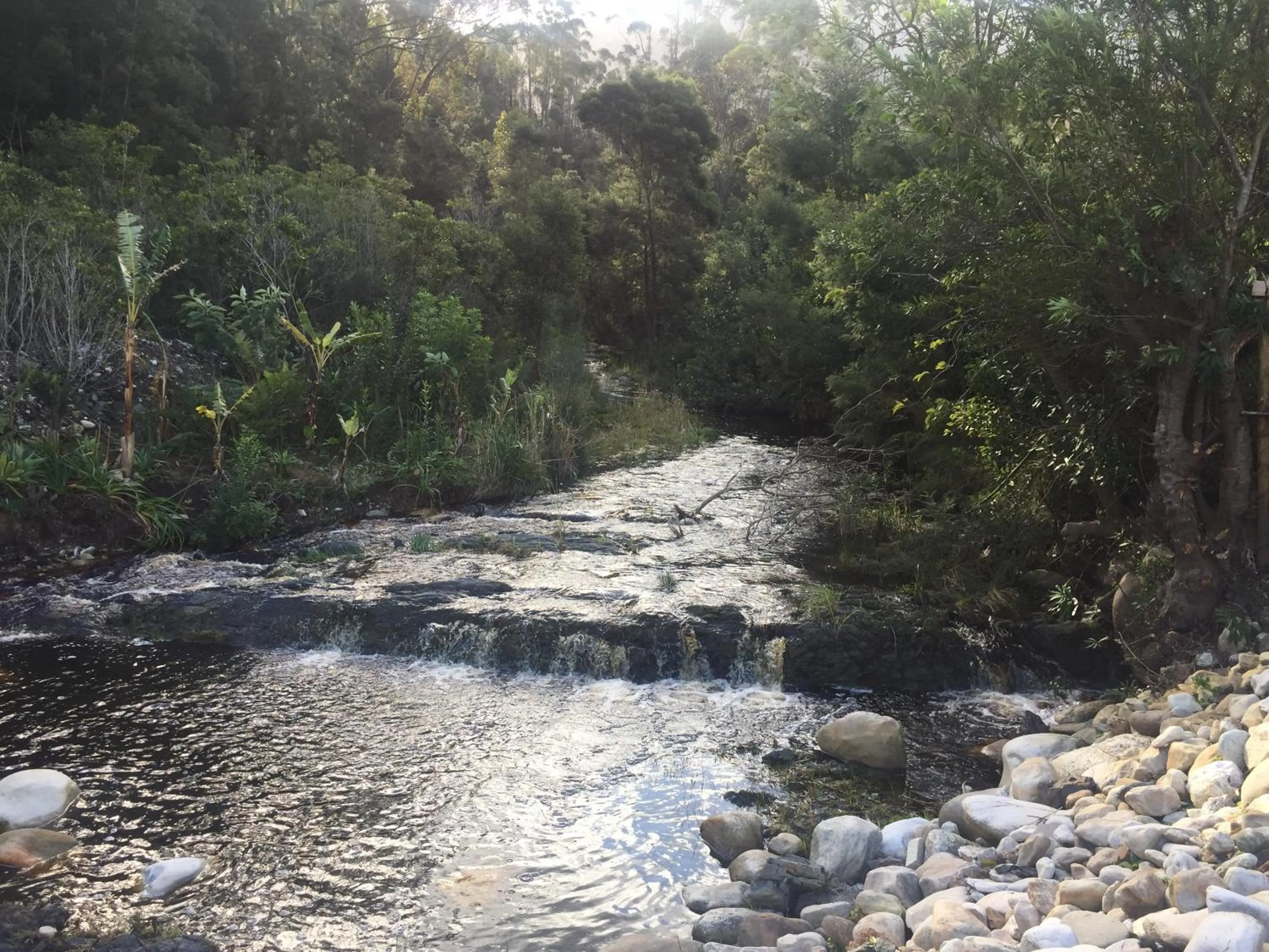Natural landscape in A Riverbed Guesthouse