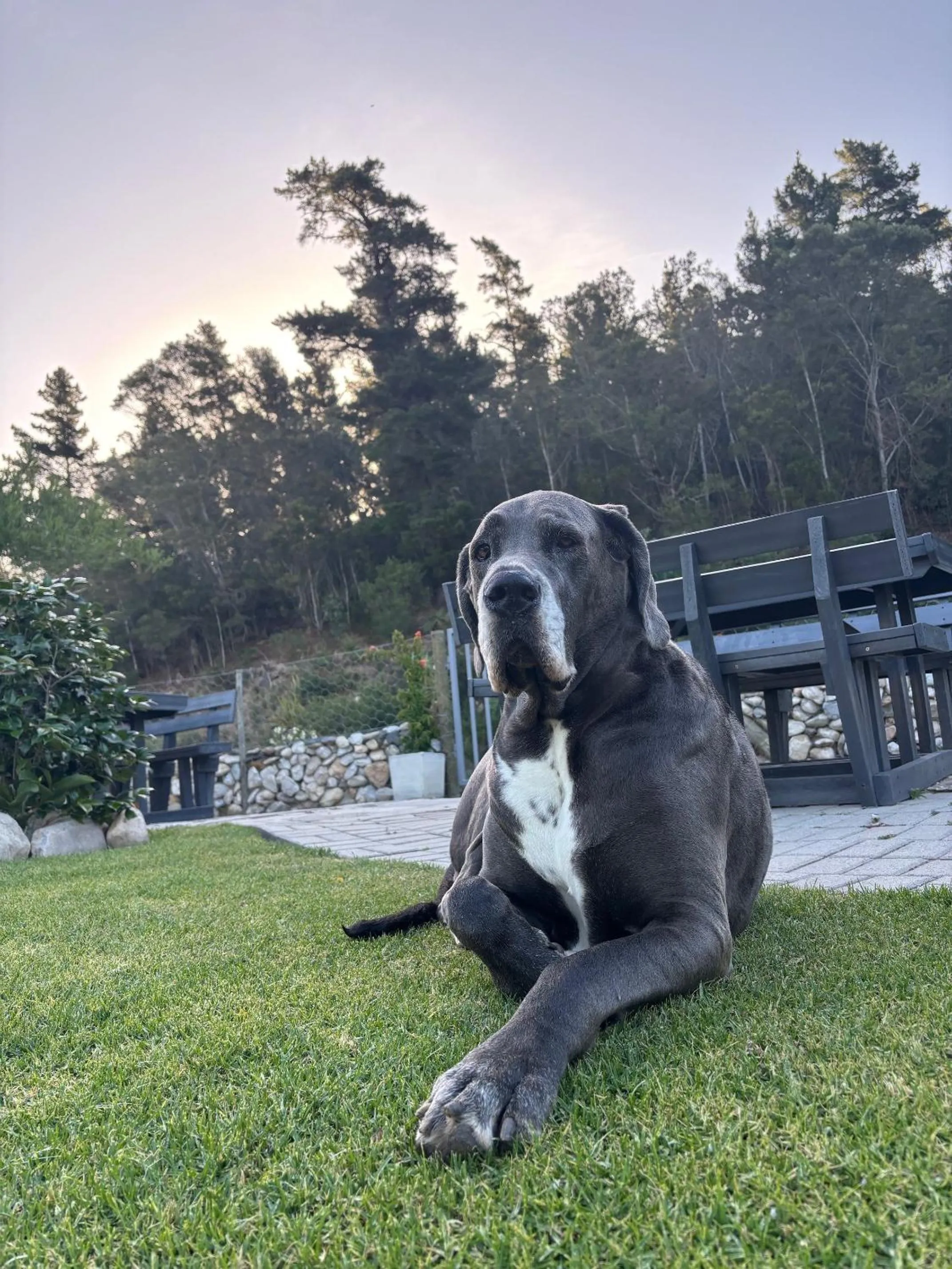 Pets in A Riverbed Guesthouse