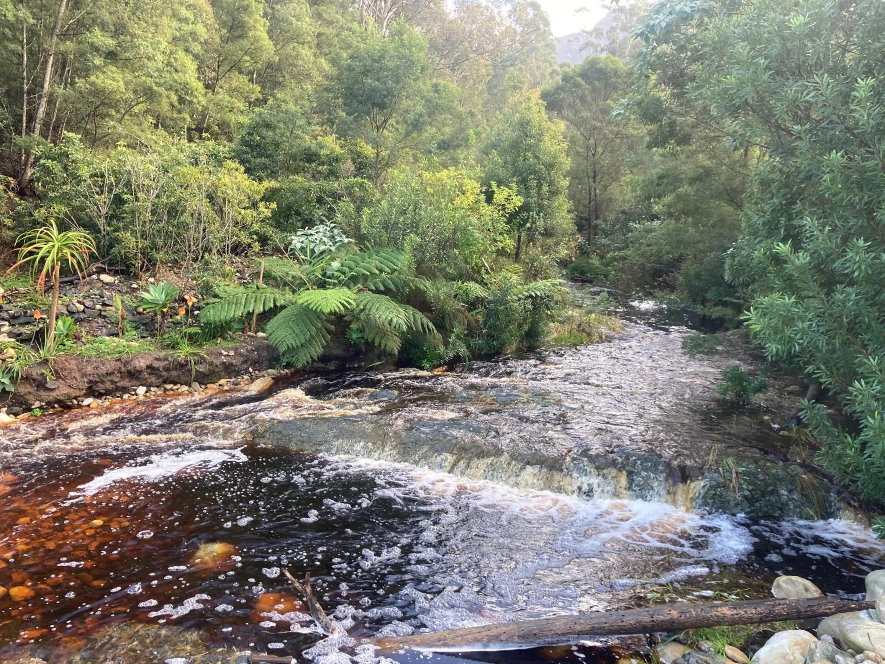 Garden in A Riverbed Guesthouse