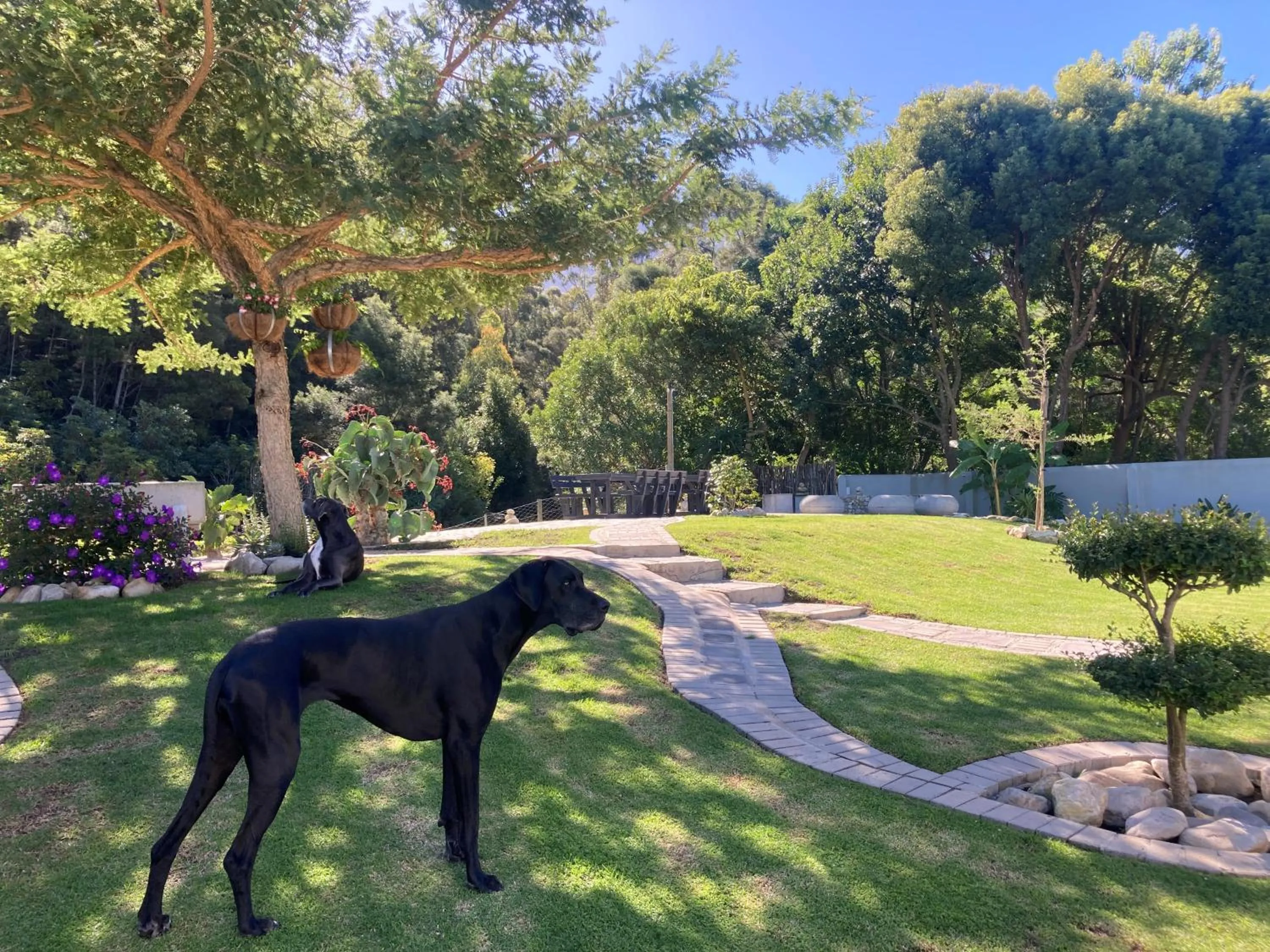 Garden in A Riverbed Guesthouse