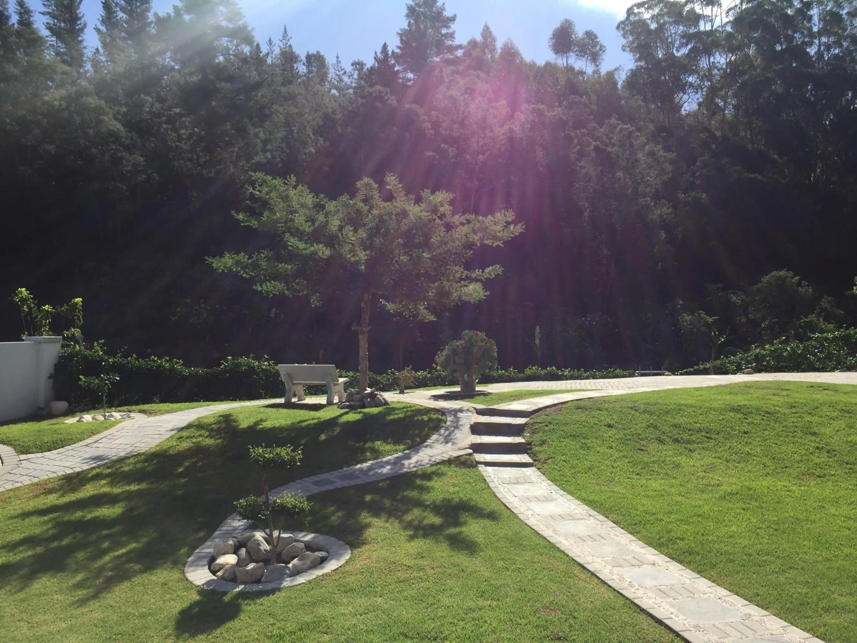Garden in A Riverbed Guesthouse