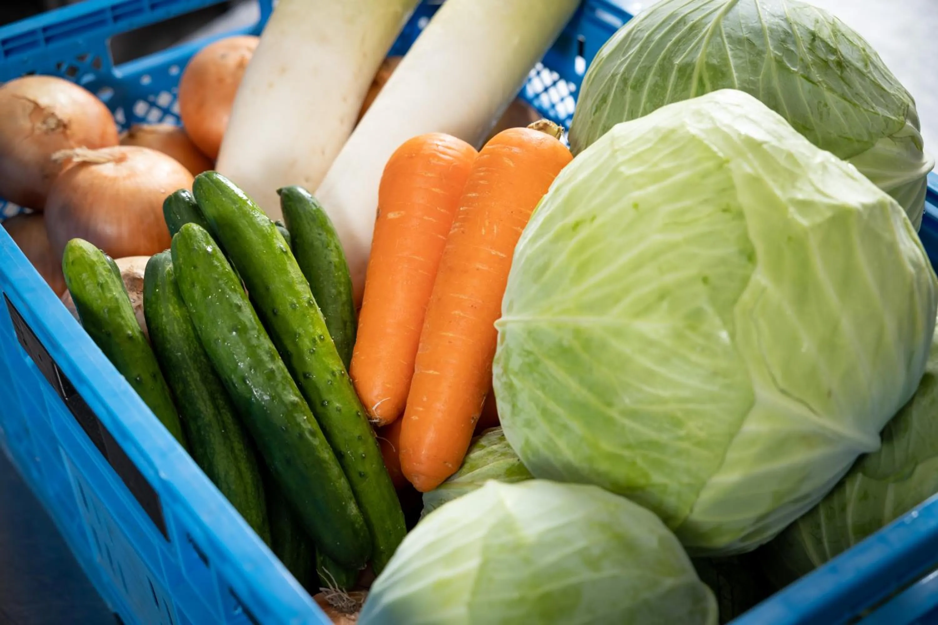 Other in Hotel Taiyo Nouen Furumitsu