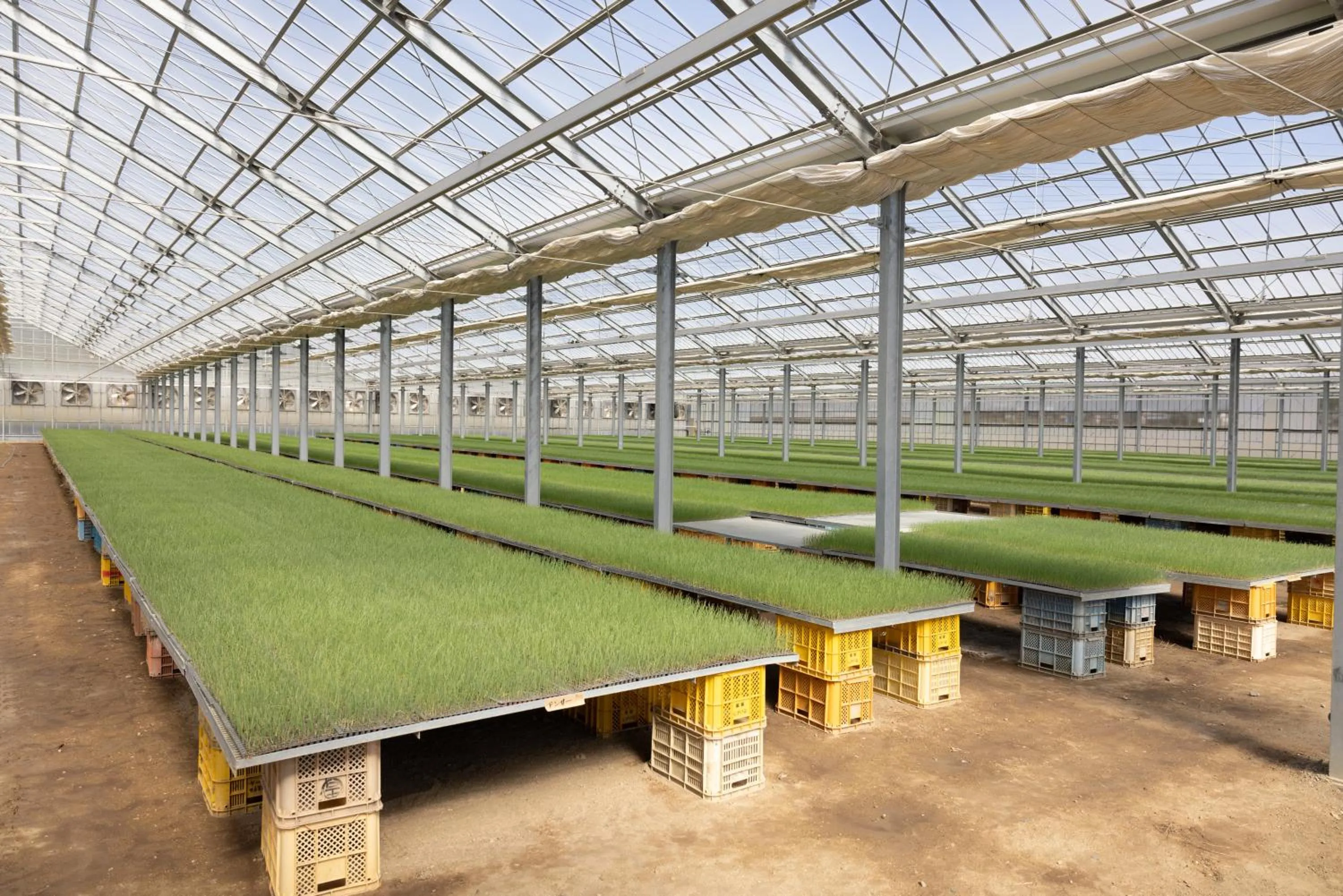 Other in Hotel Taiyo Nouen Furumitsu