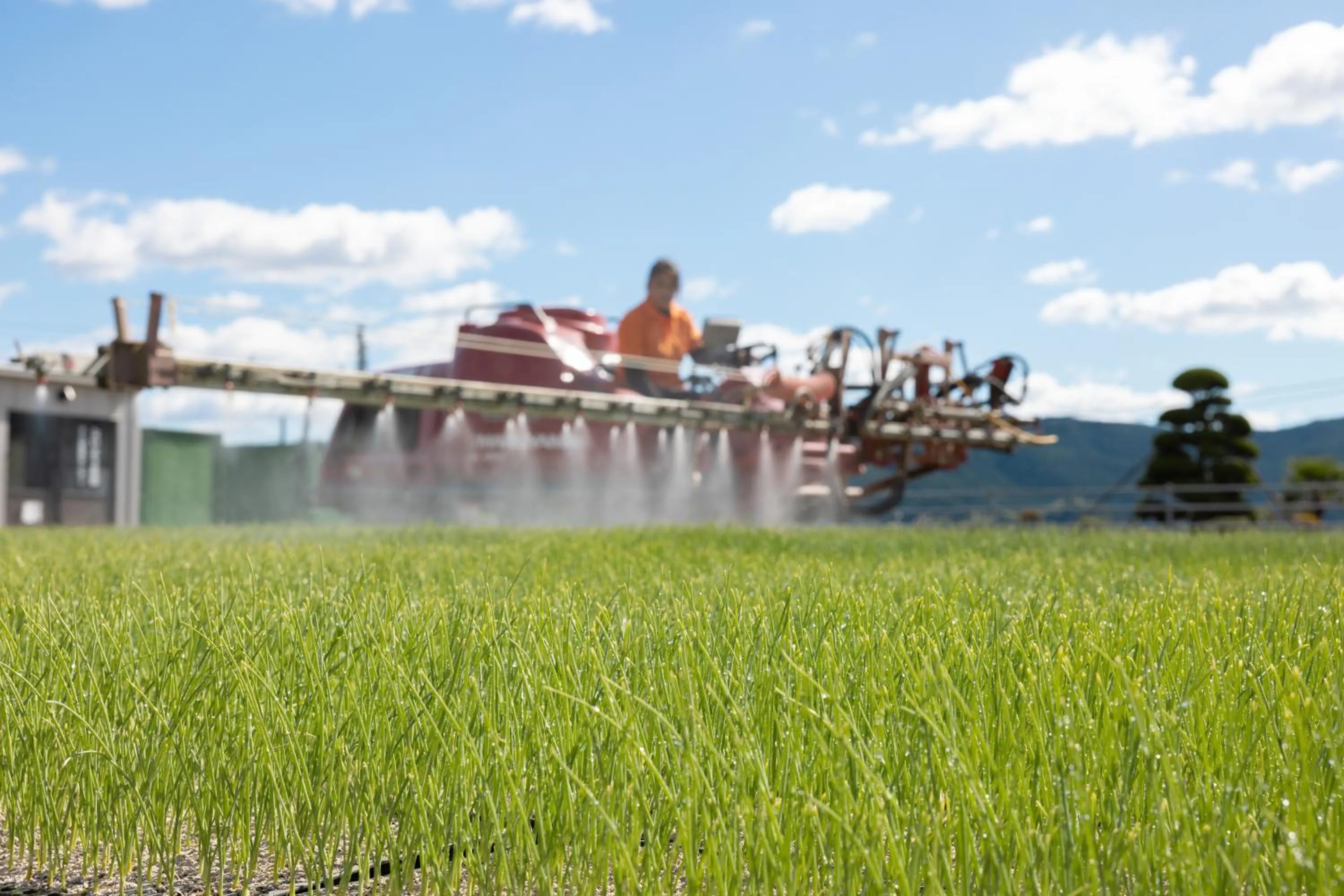 Other in Hotel Taiyo Nouen Furumitsu