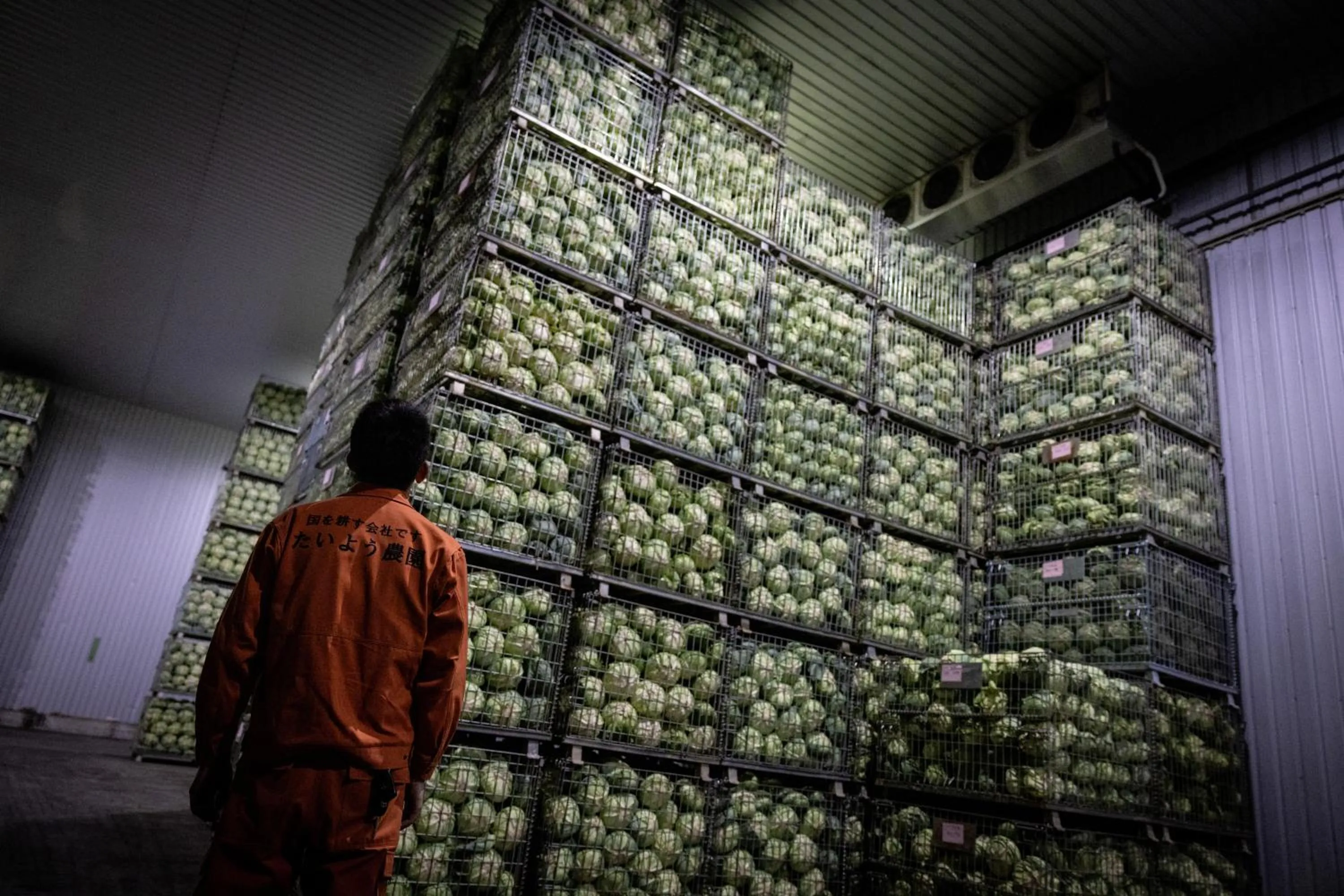 Other in Hotel Taiyo Nouen Furumitsu