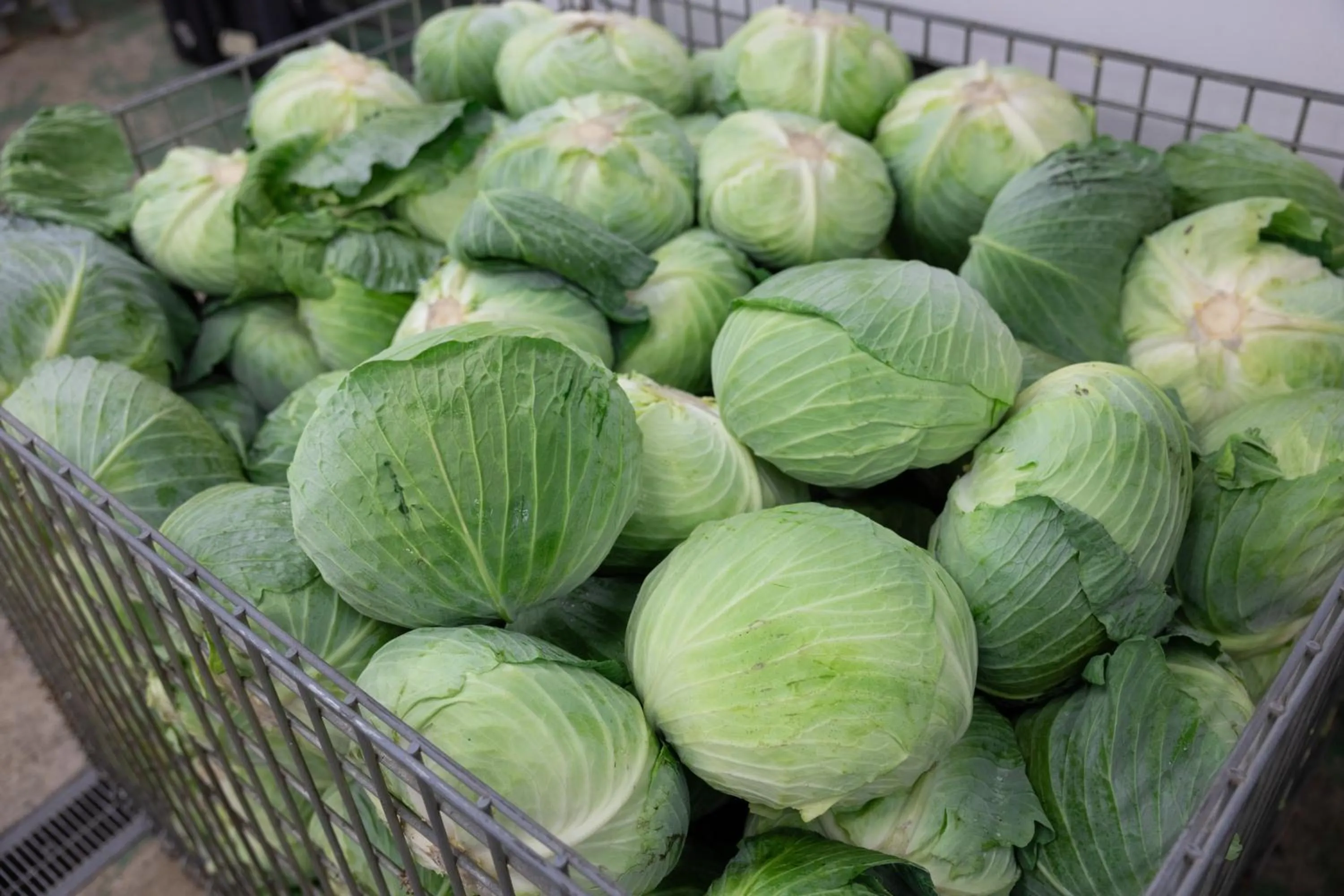 Other in Hotel Taiyo Nouen Furumitsu