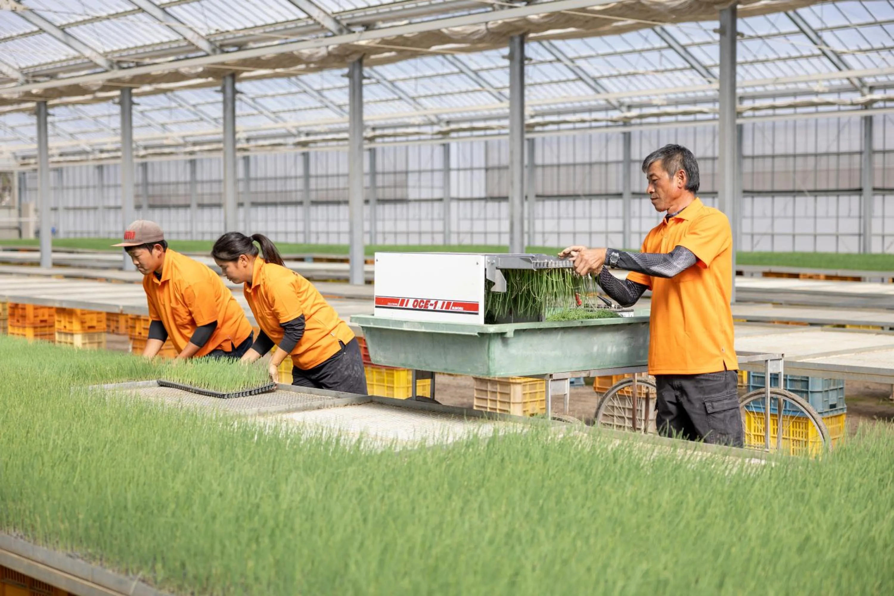 Other in Hotel Taiyo Nouen Furumitsu