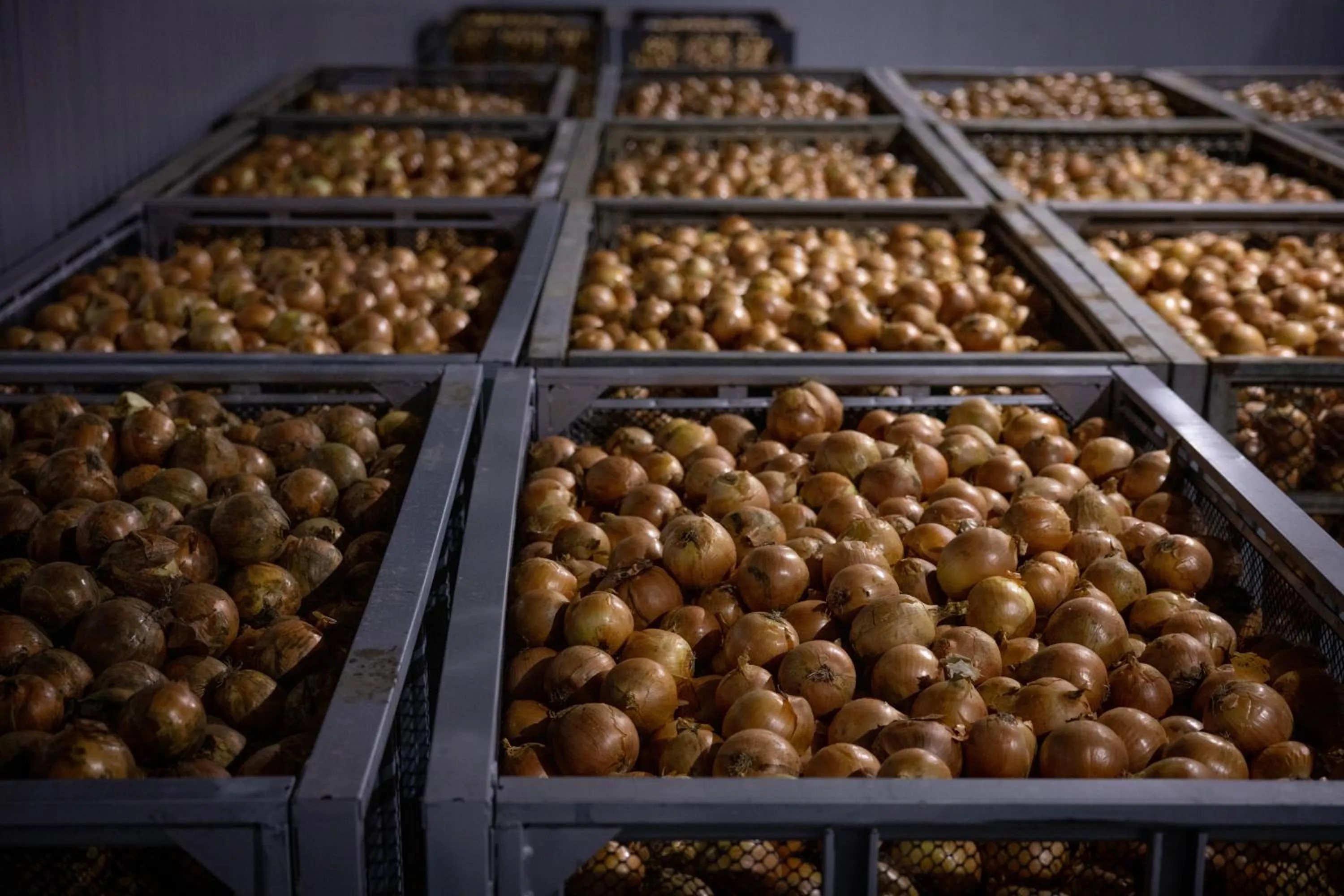 Other in Hotel Taiyo Nouen Furumitsu