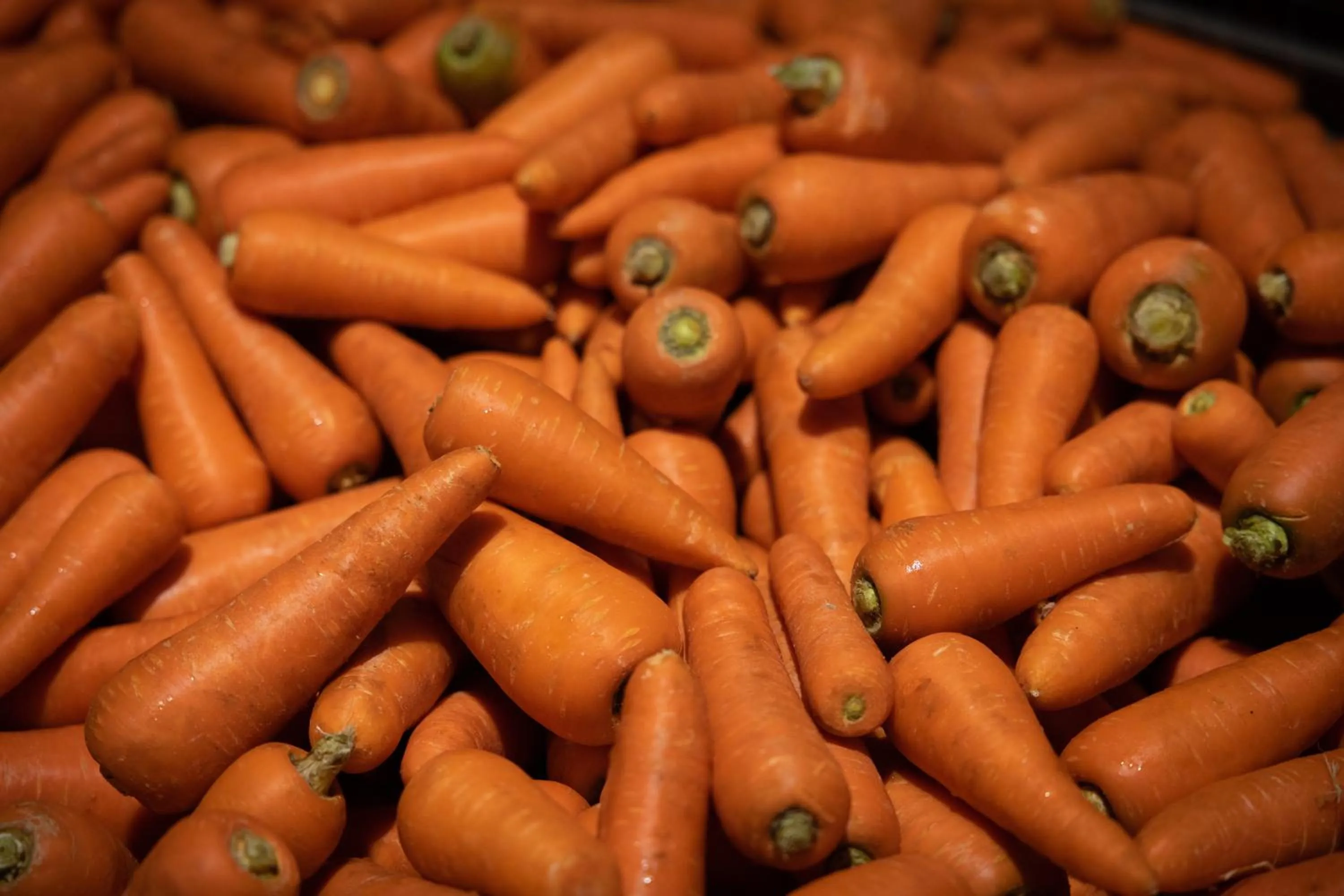 Other in Hotel Taiyo Nouen Furumitsu