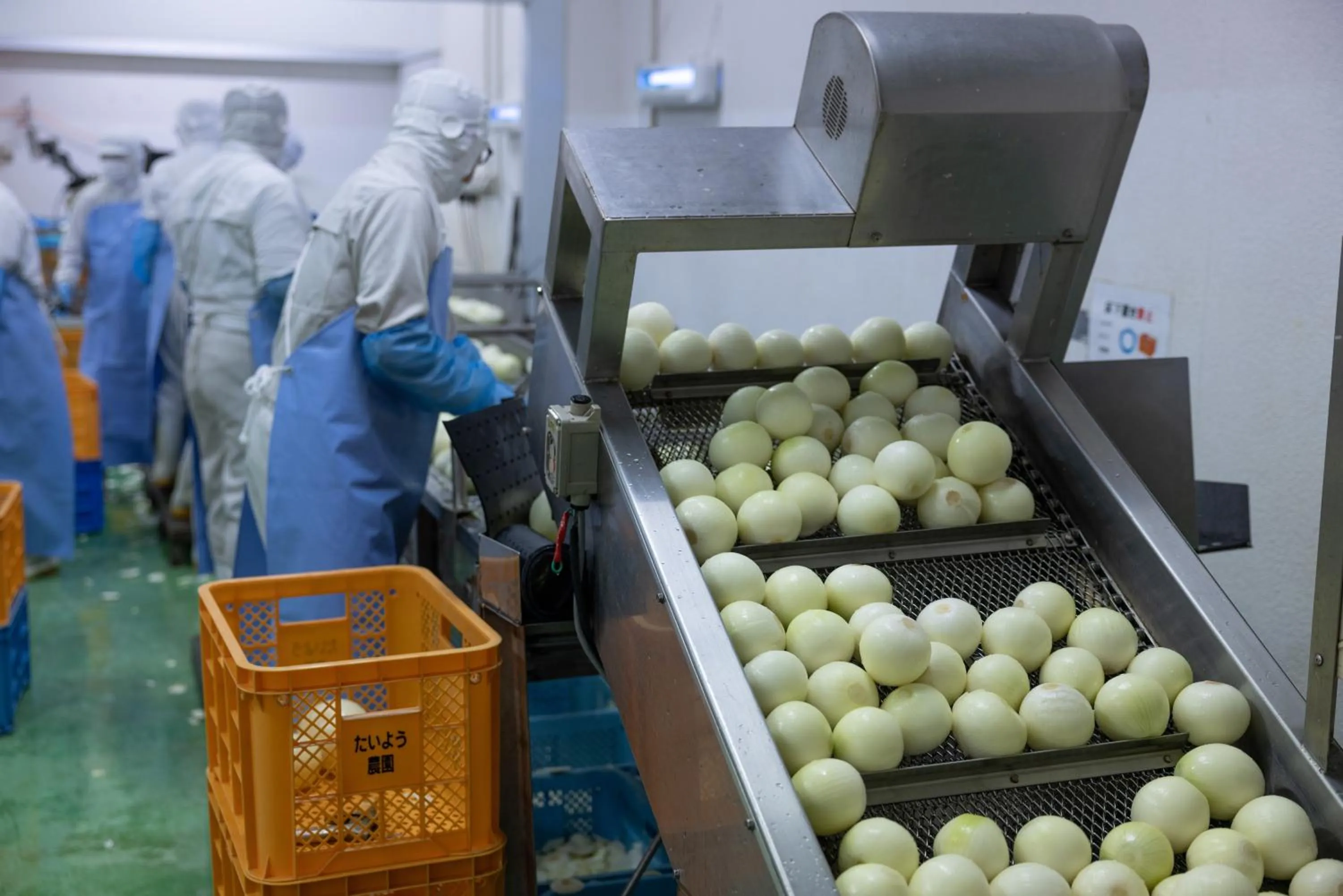 Other in Hotel Taiyo Nouen Furumitsu