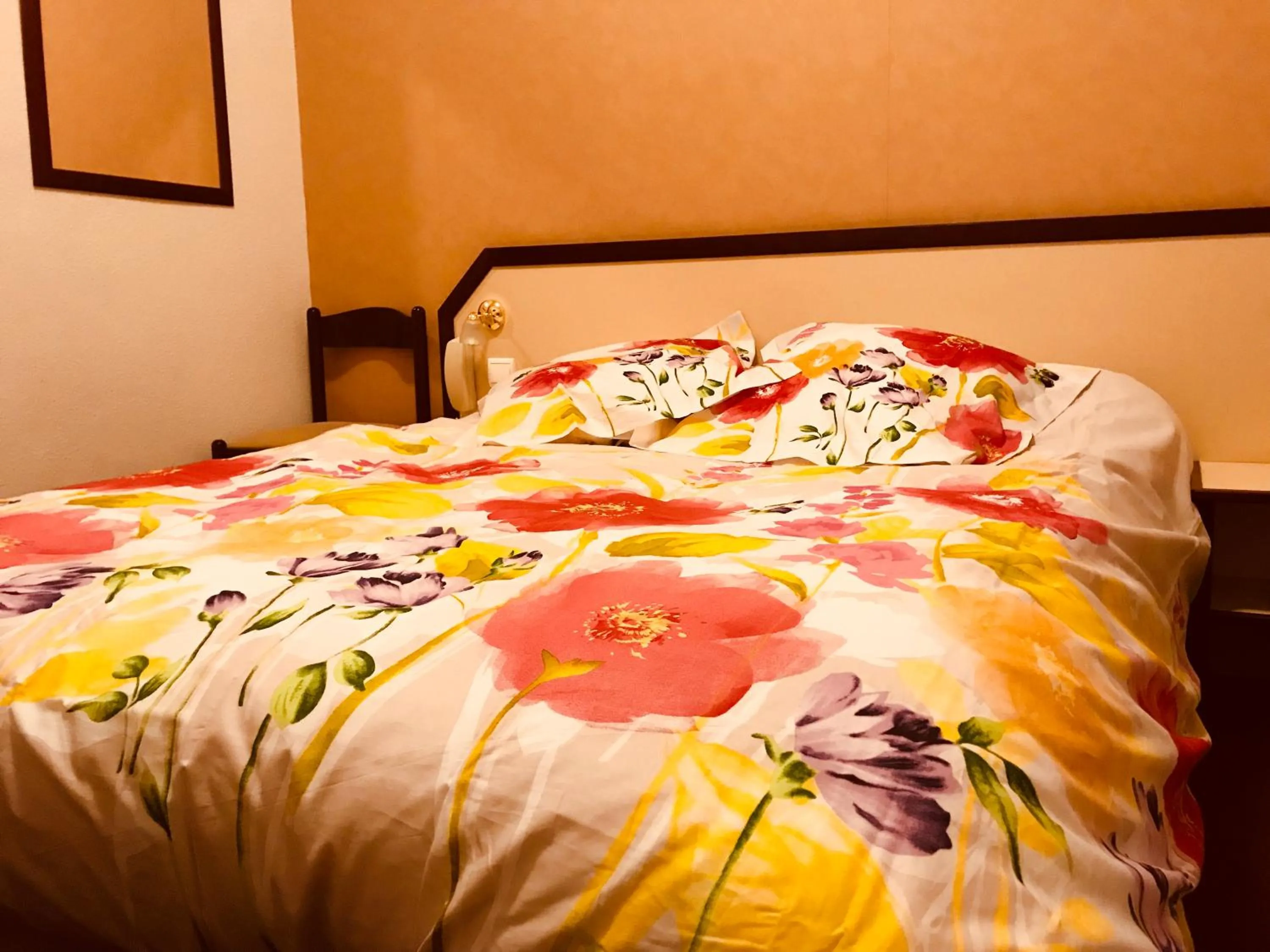 Bed in Hôtel Myosotis