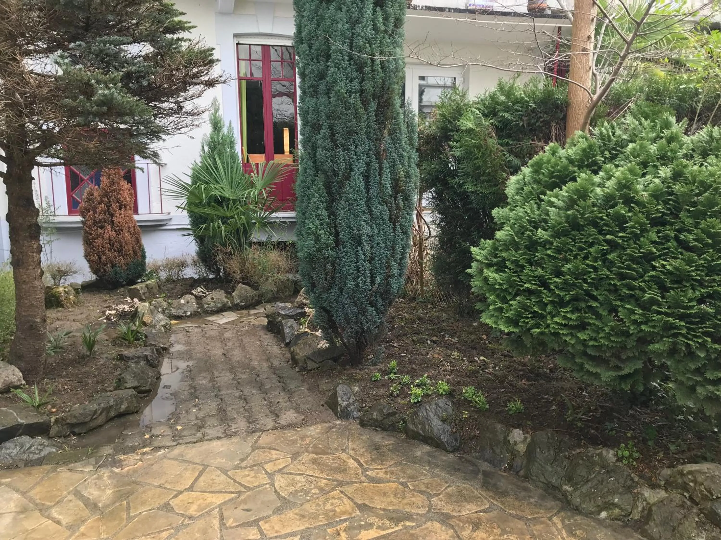 Garden in Hôtel Myosotis