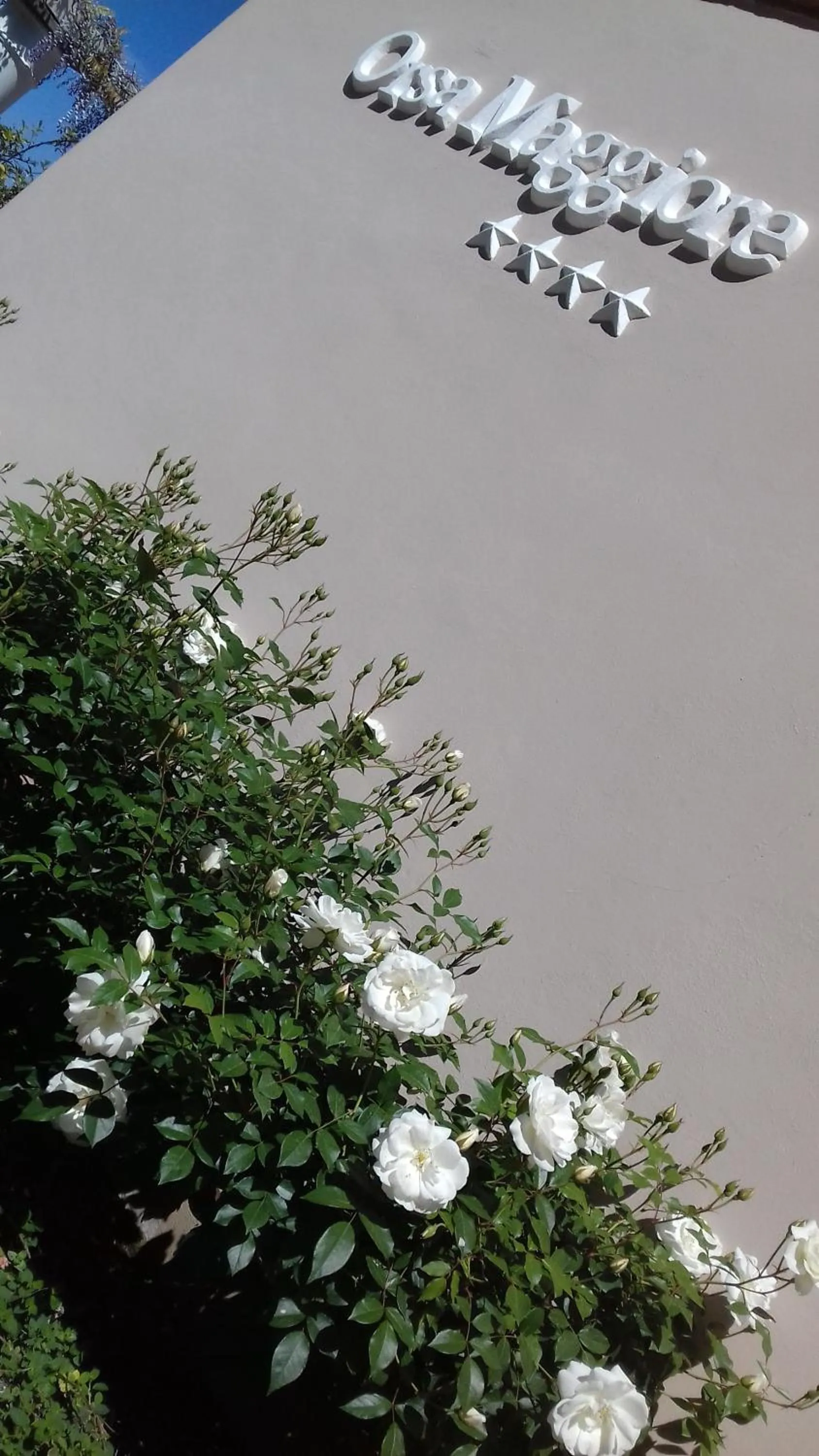 Facade/entrance in Hotel Orsa Maggiore