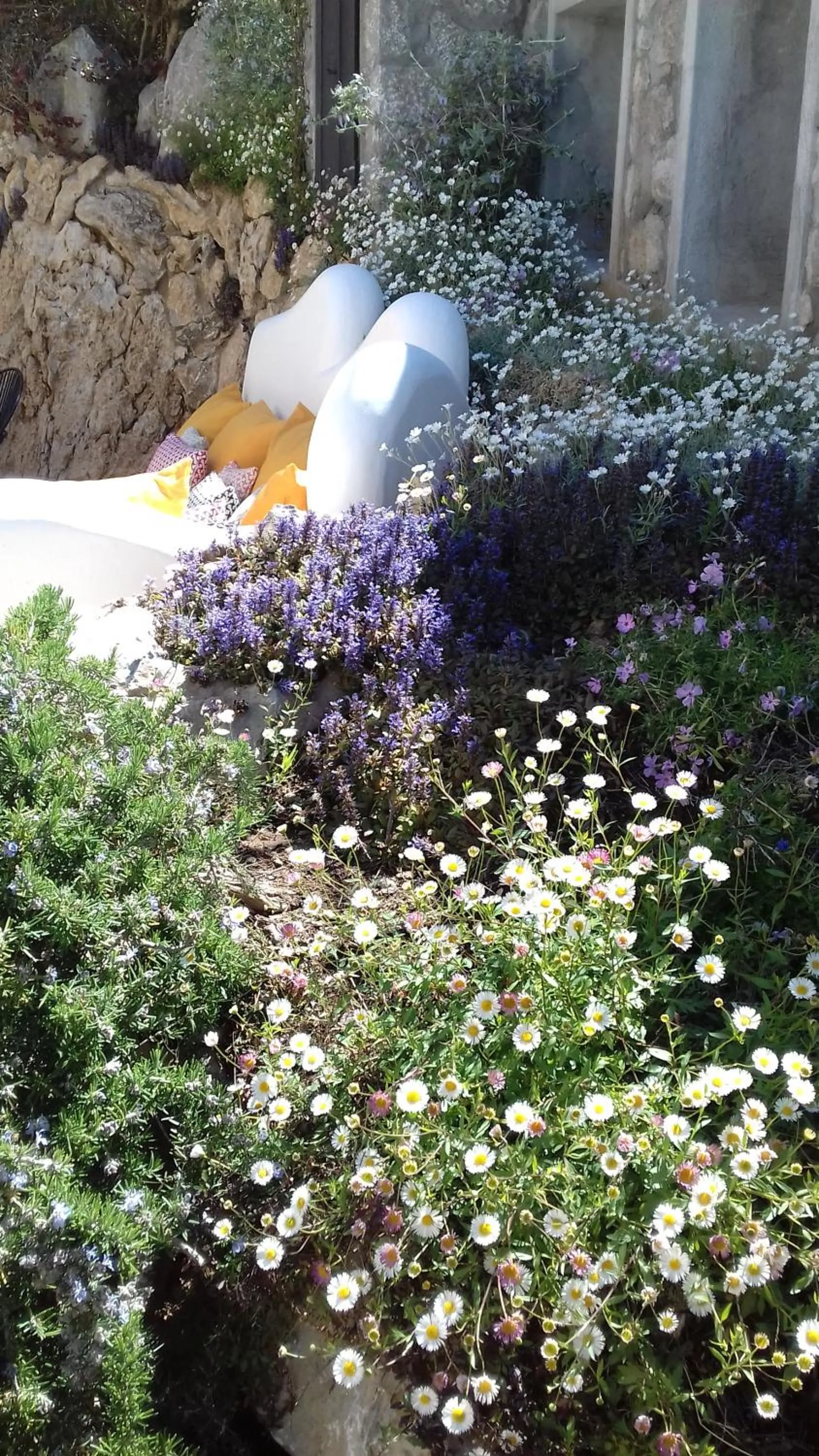 Garden in Hotel Orsa Maggiore