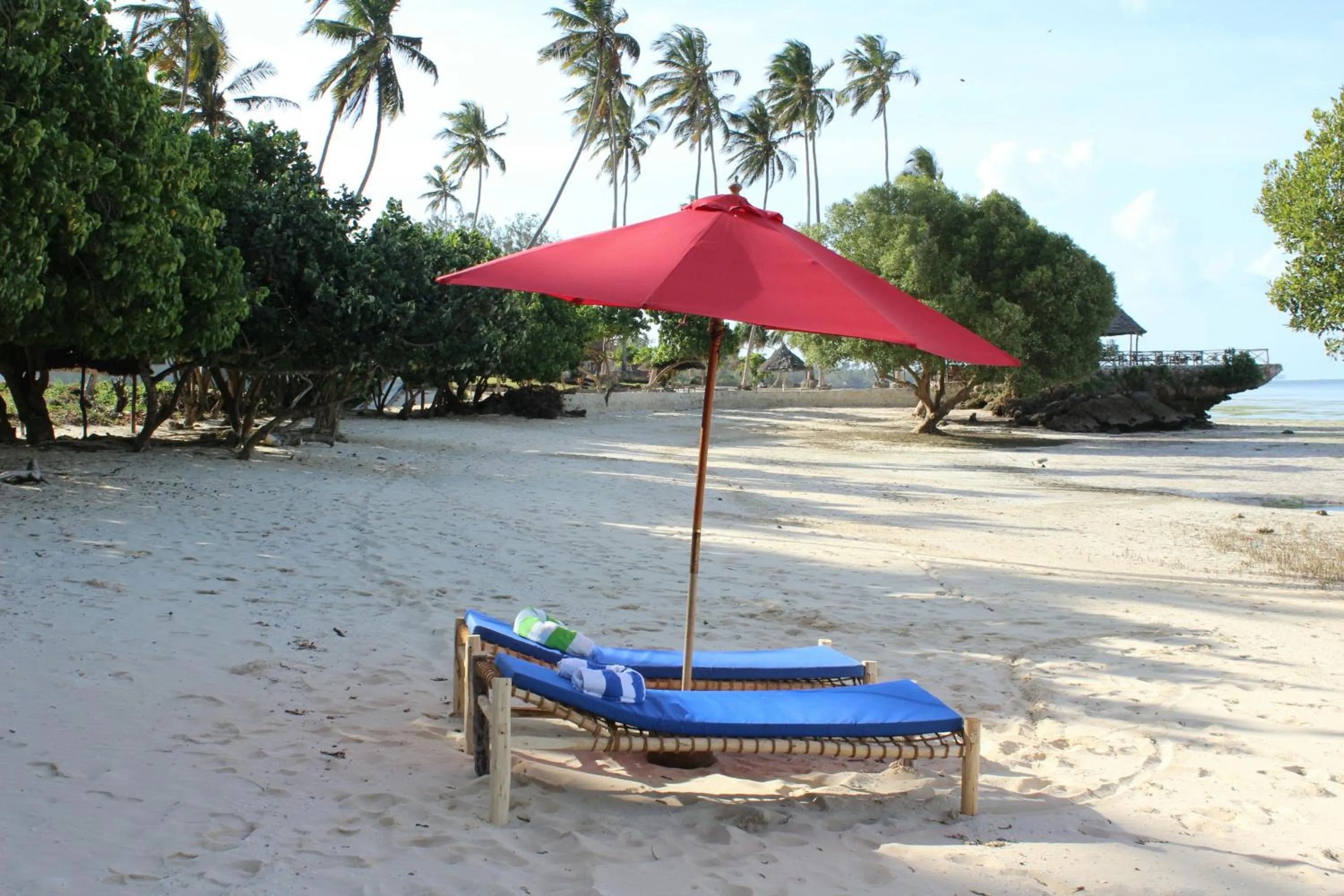 Beach in Coconut Tree Village Beach Resort