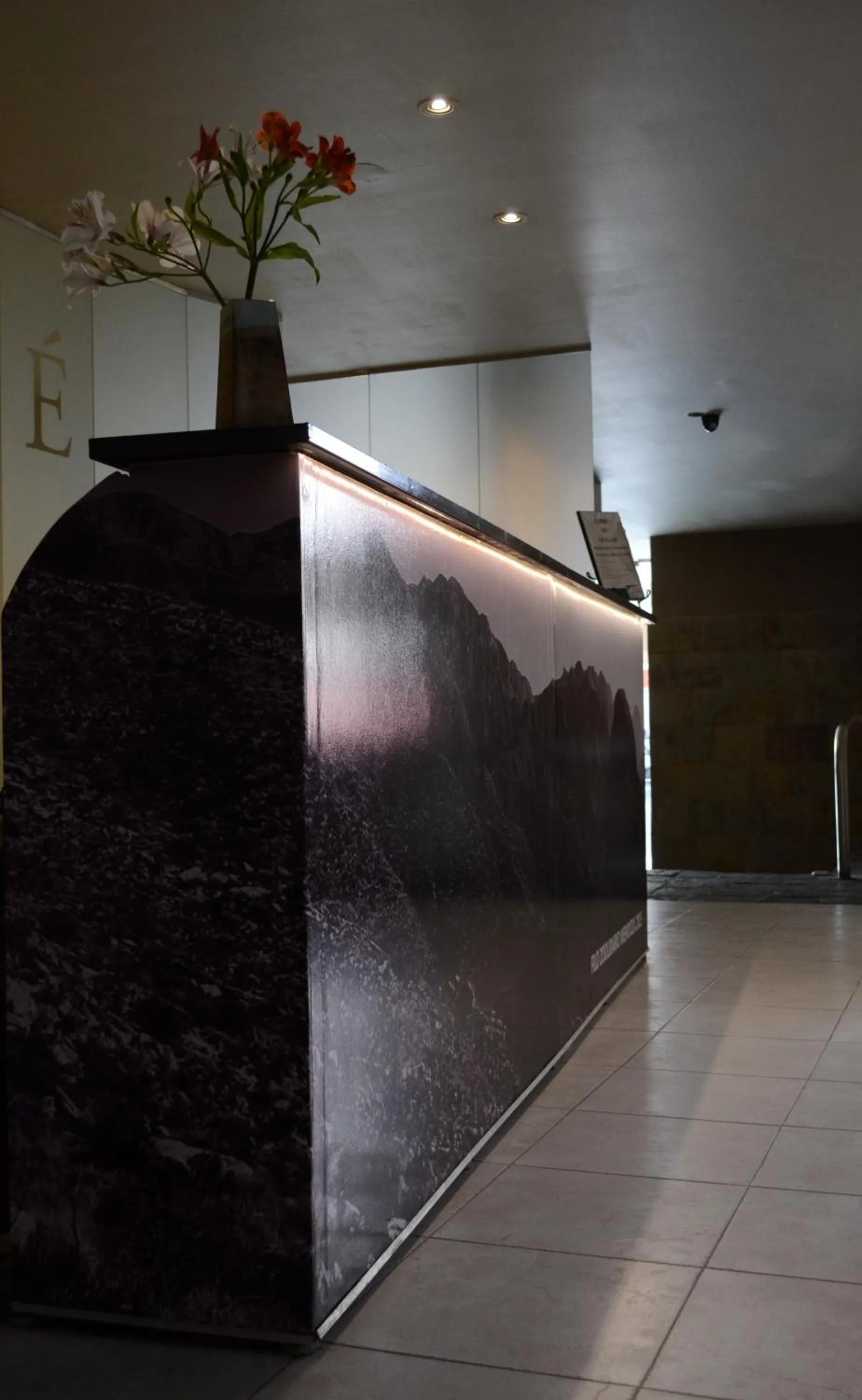 Lobby or reception in Apart Hotel Maue