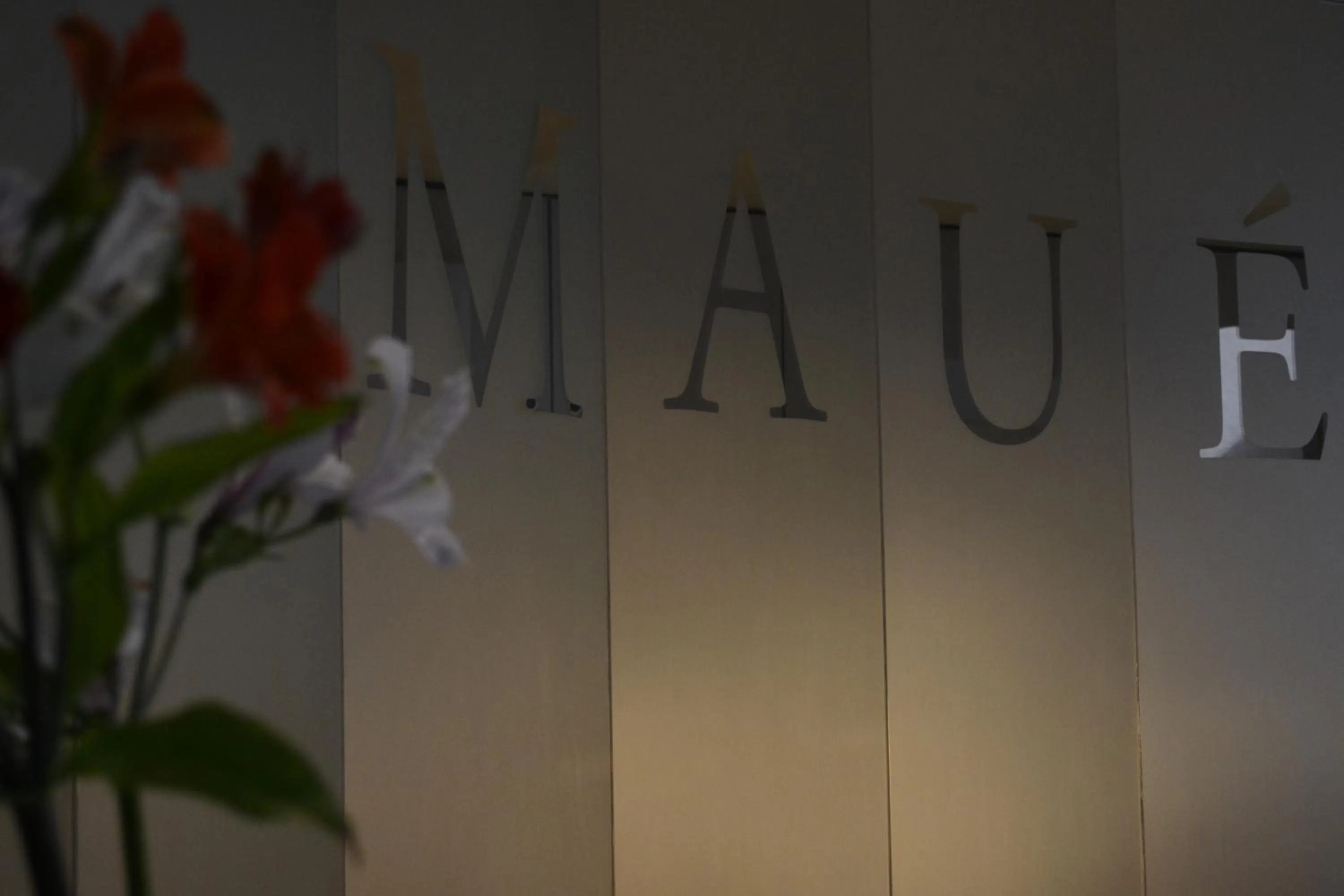 Lobby or reception in Apart Hotel Maue