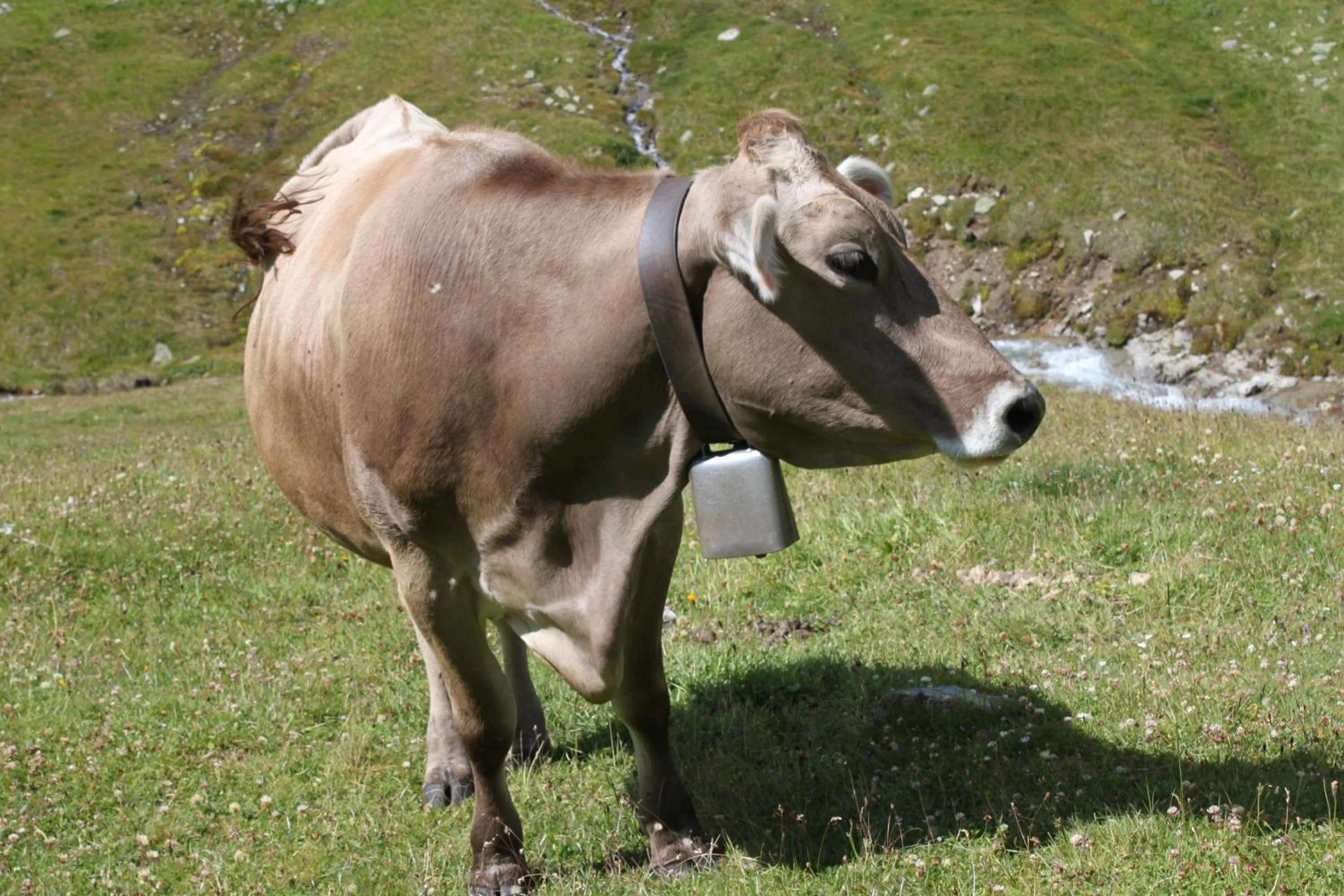 Area and facilities in Hotel Loredana