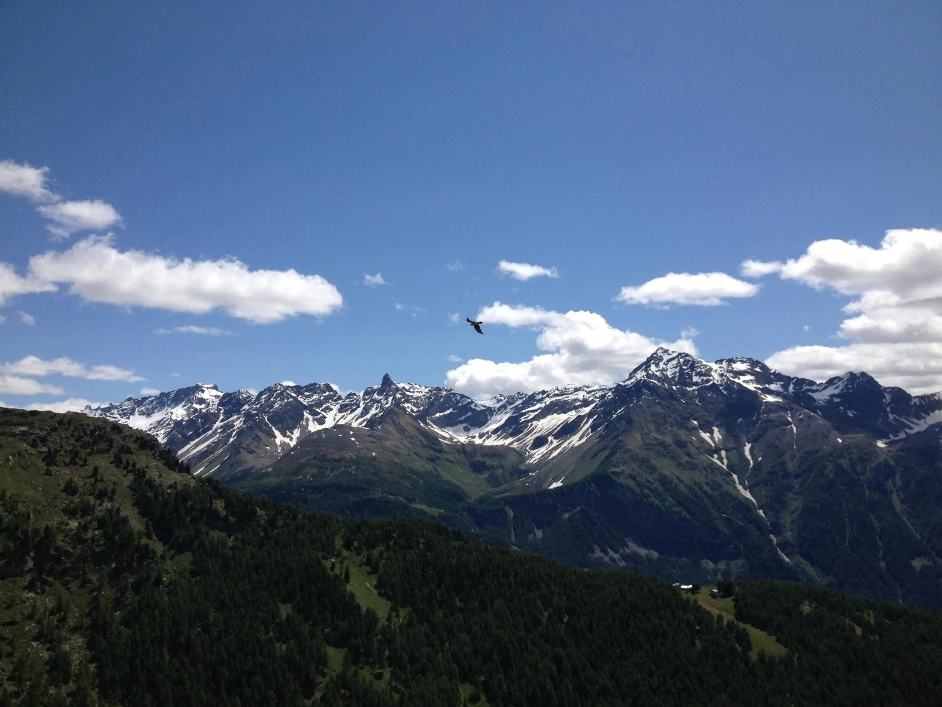 Area and facilities in Hotel Loredana