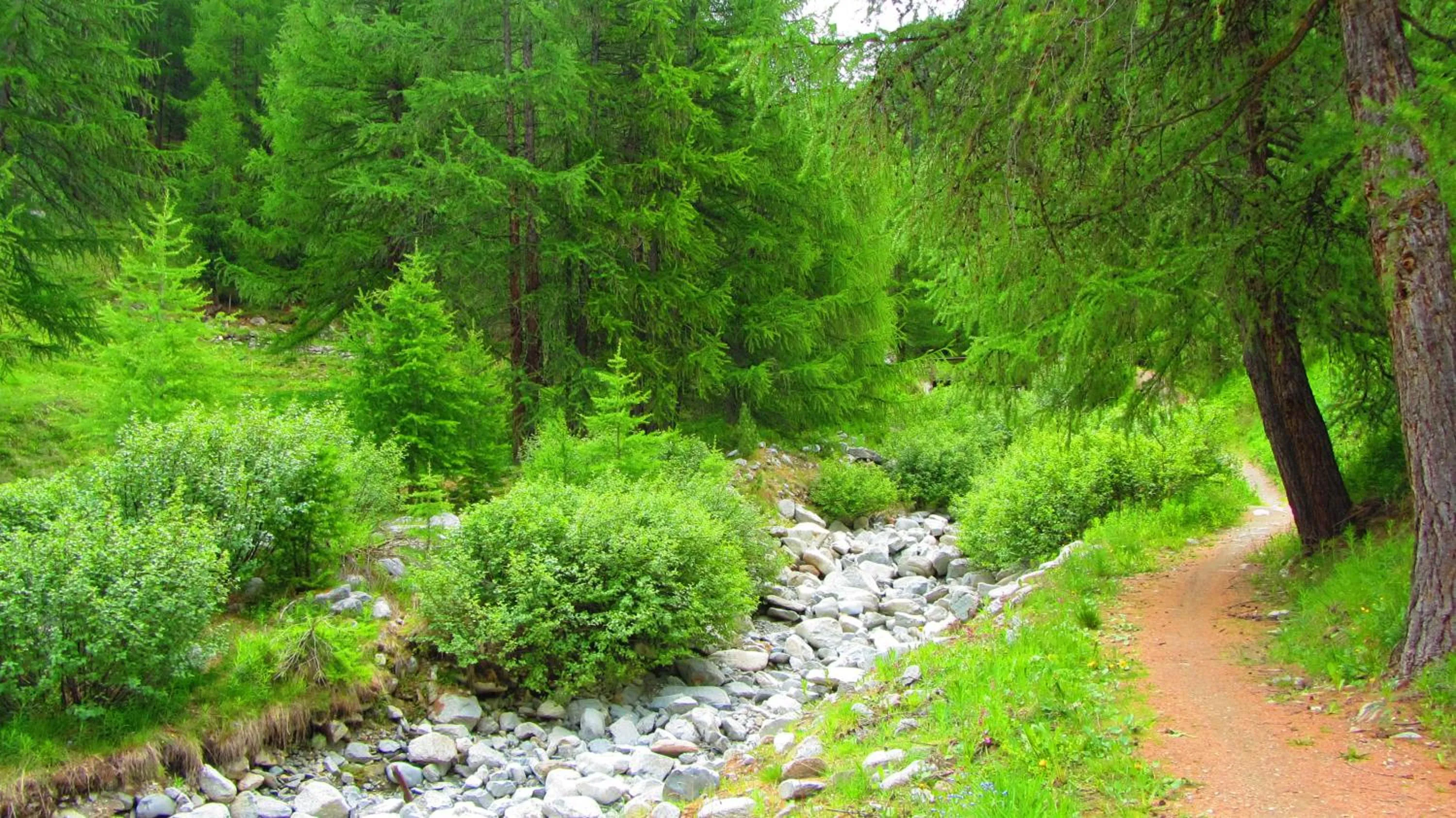 Area and facilities in Hotel Loredana