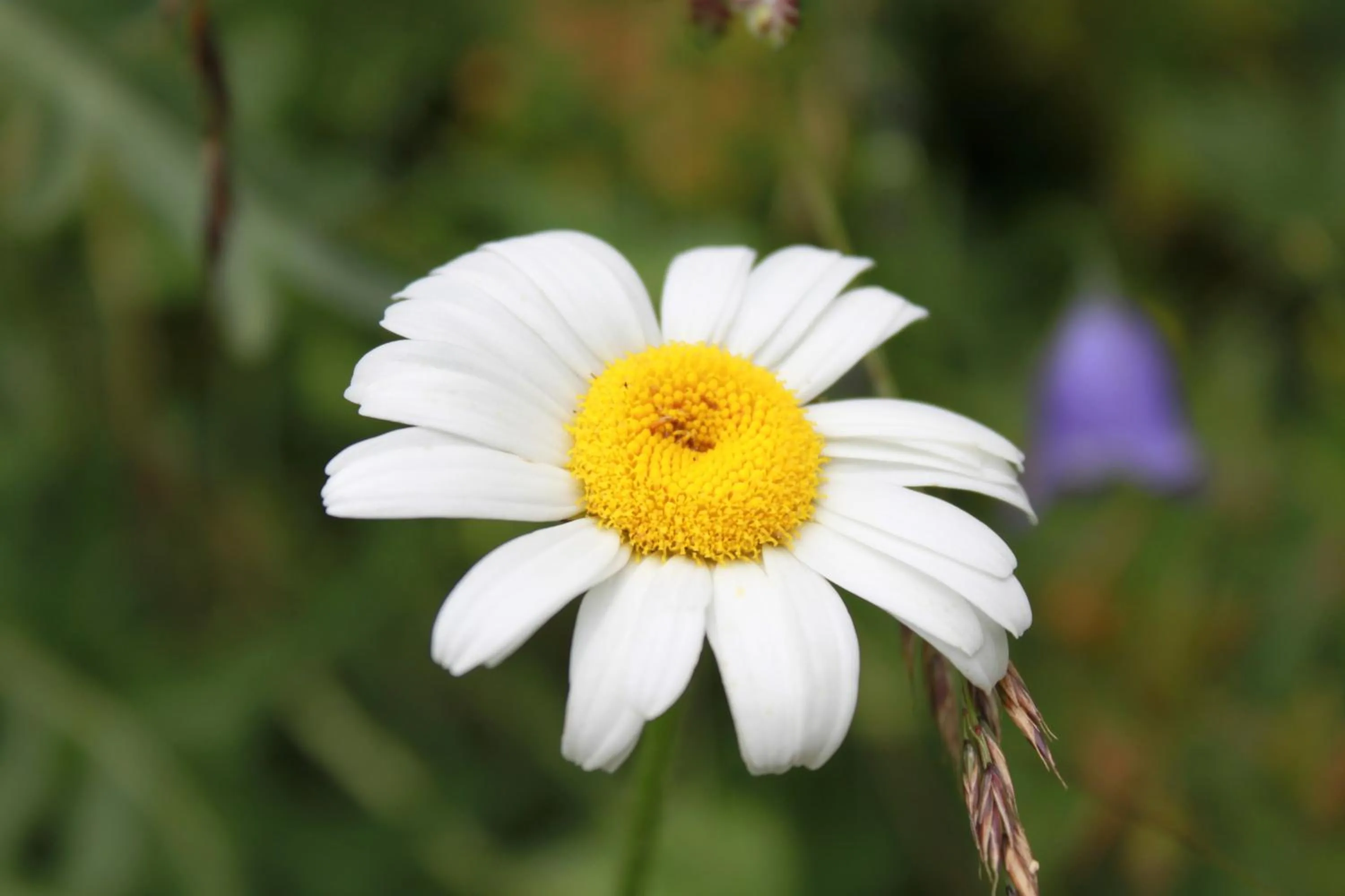 Area and facilities in Hotel Loredana