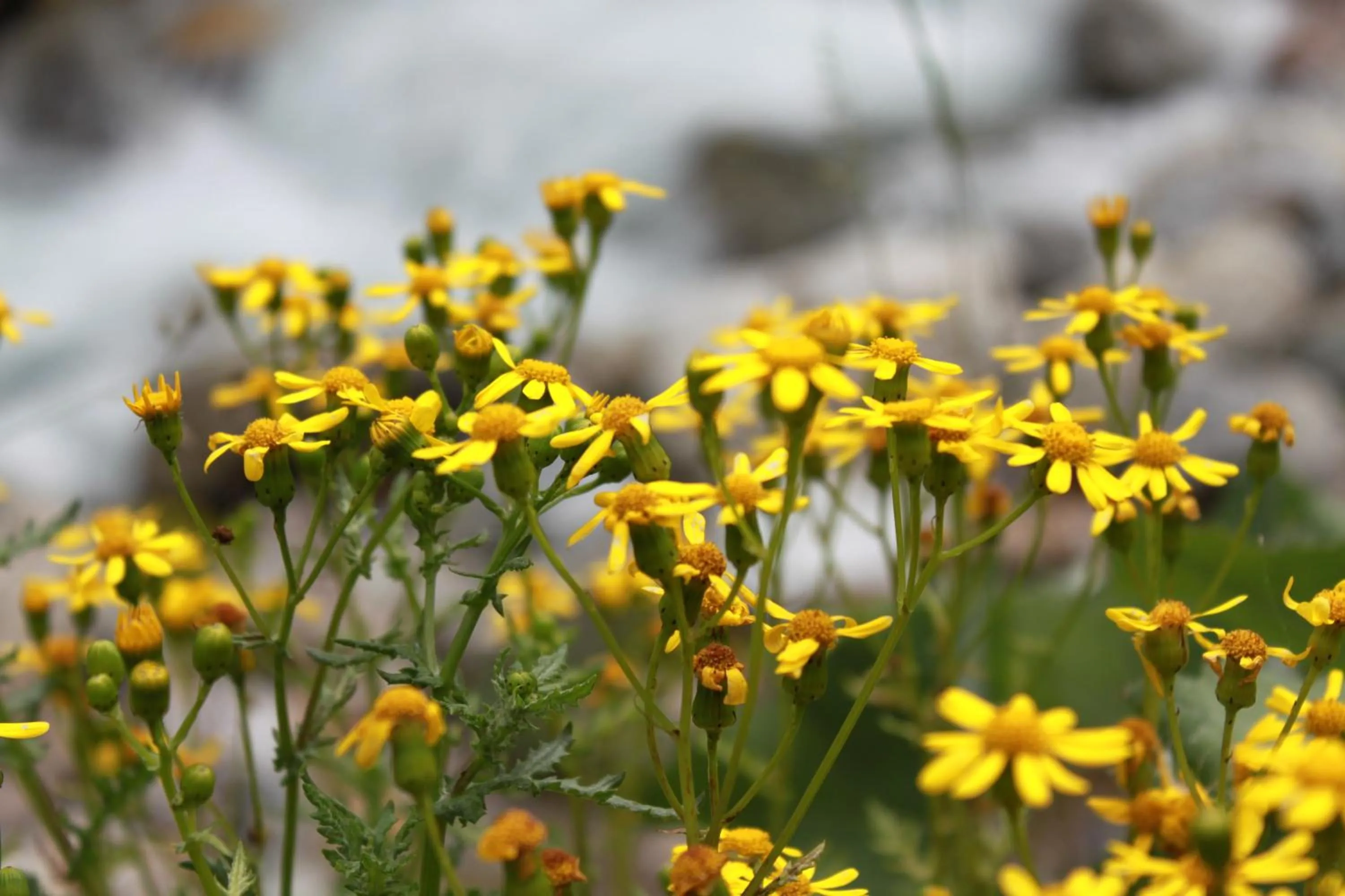 Area and facilities in Hotel Loredana