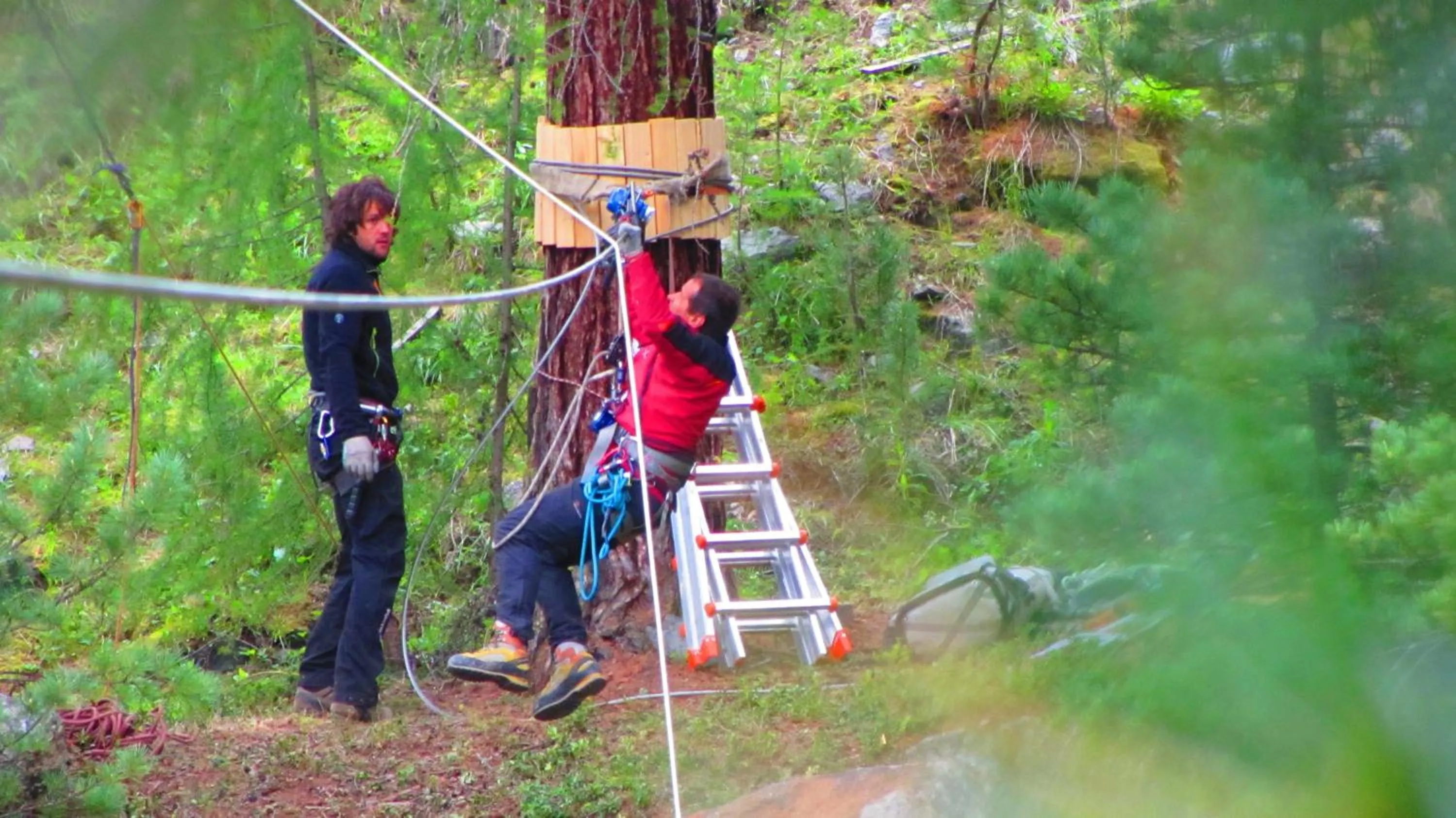 Area and facilities in Hotel Loredana