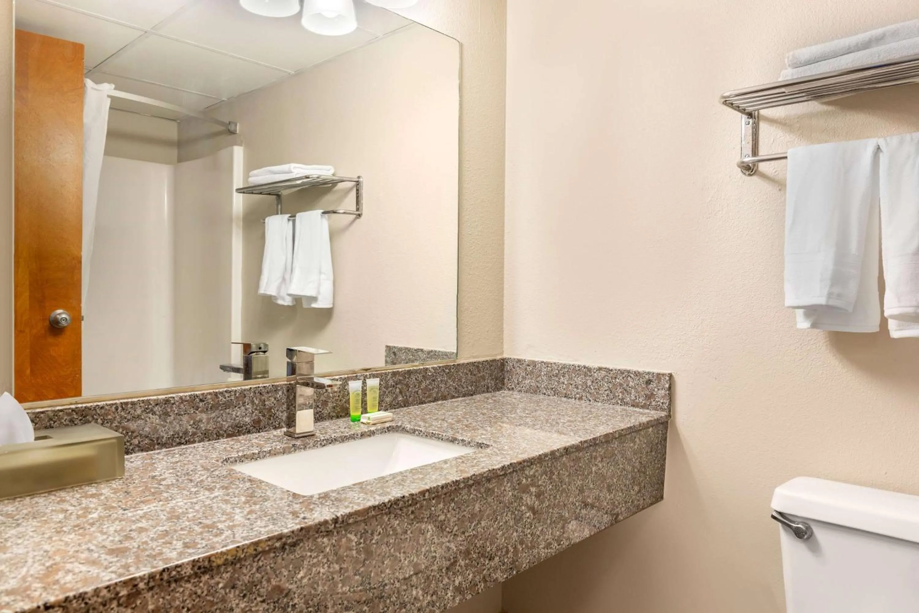 TV and multimedia in Days Inn & Suites by Wyndham Rocky Mount Golden East