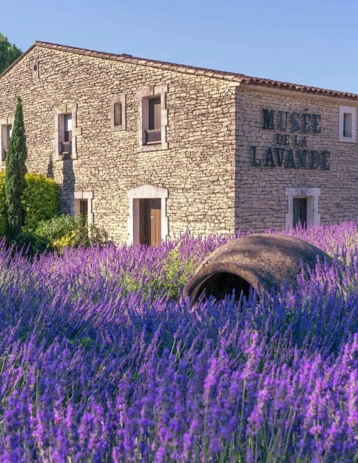 Landmark view in Mas Armelin